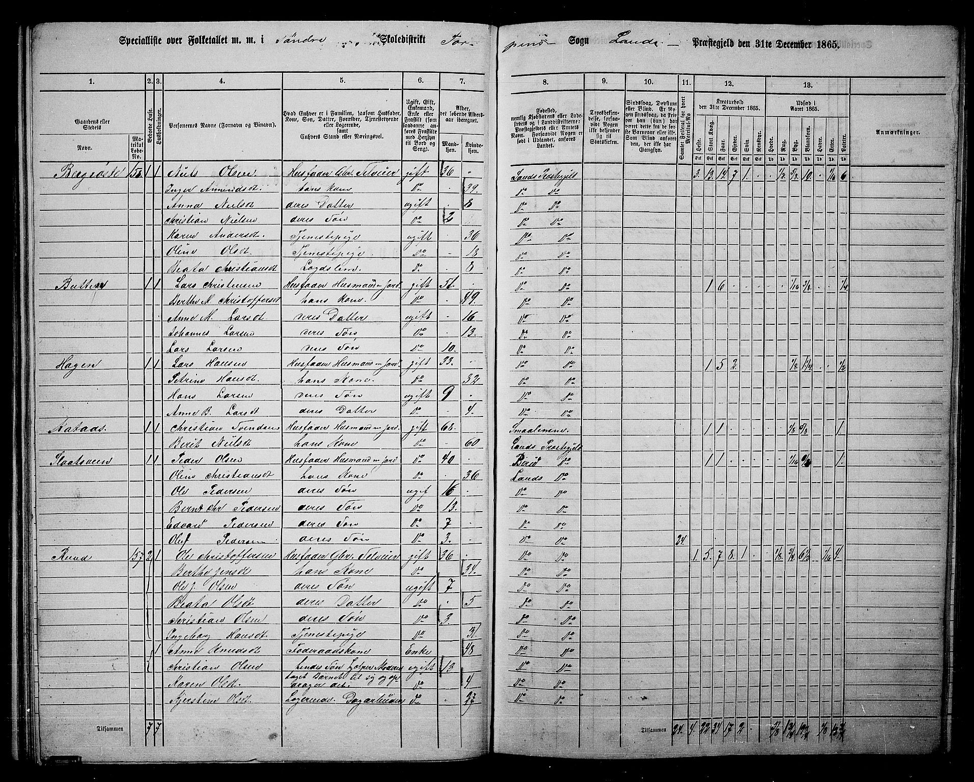 RA, 1865 census for Land, 1865, p. 102