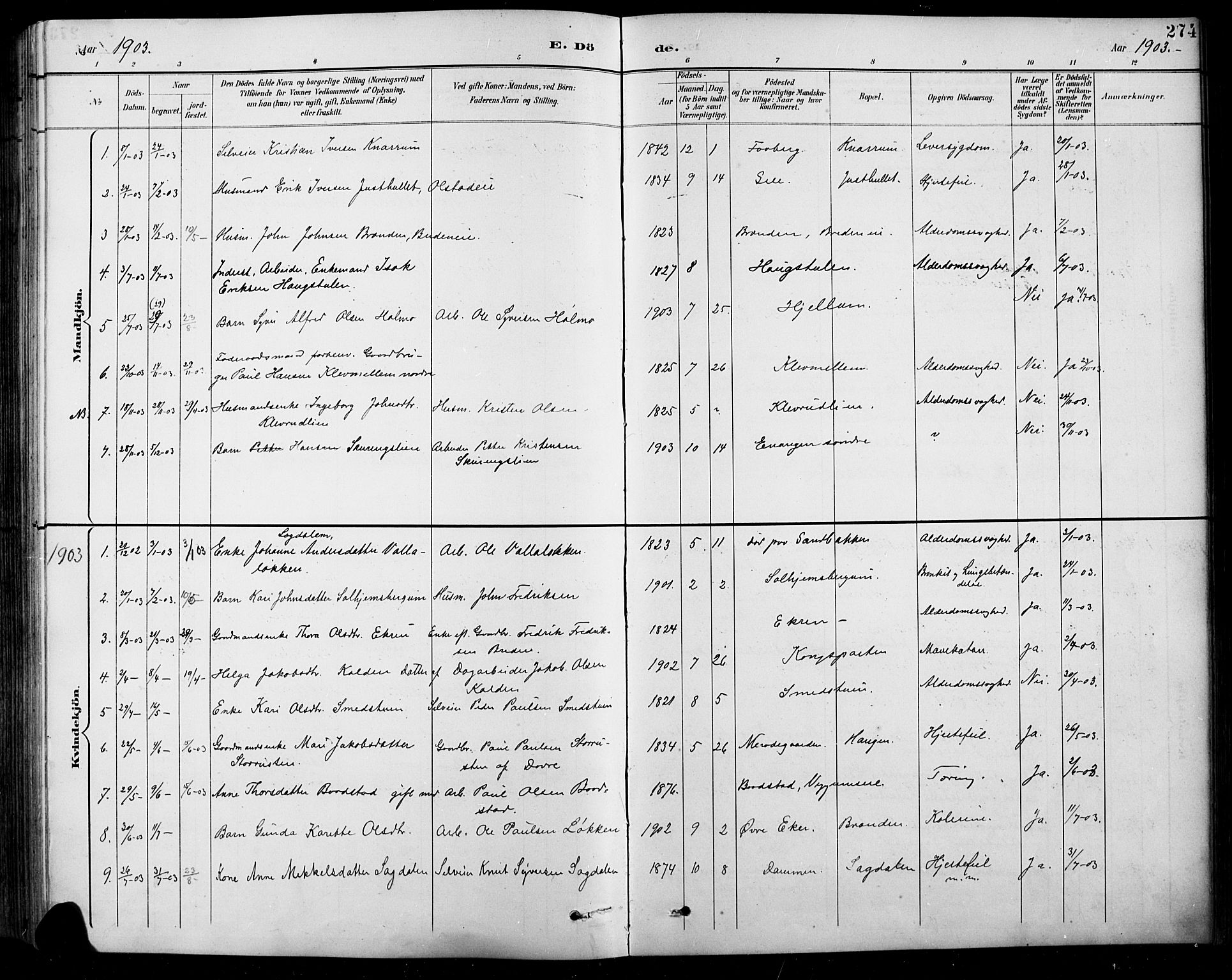 Sel prestekontor, SAH/PREST-074/H/Ha/Hab/L0001: Parish register (copy) no. 1, 1894-1923, p. 274