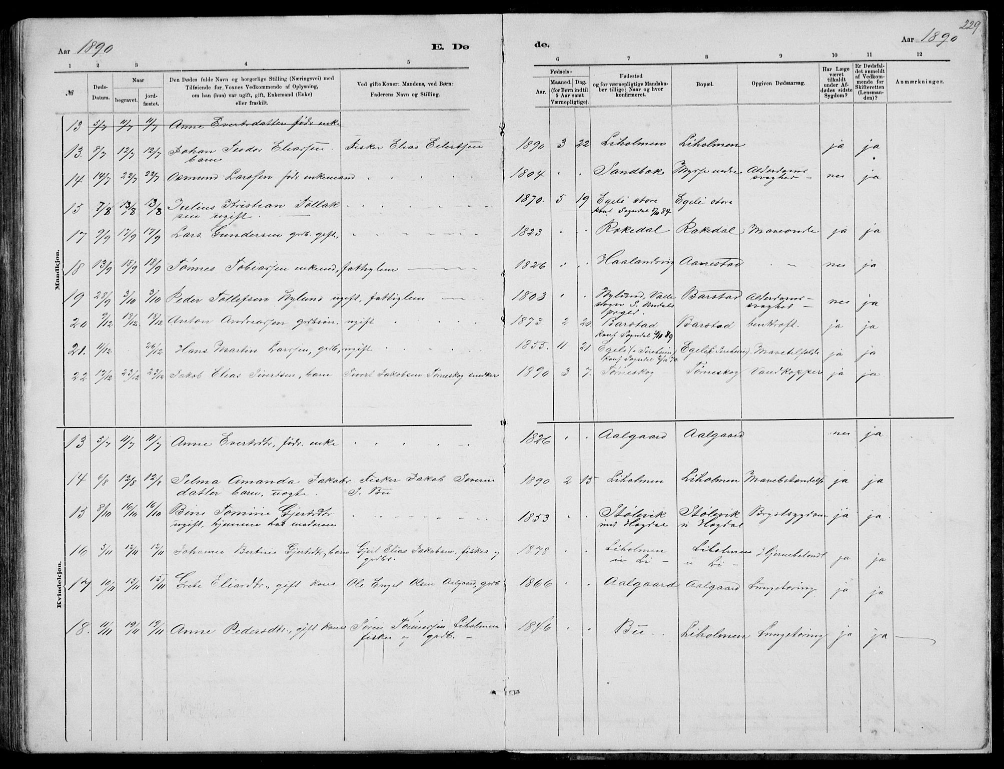 Sokndal sokneprestkontor, AV/SAST-A-101808: Parish register (copy) no. B 4, 1880-1891, p. 229