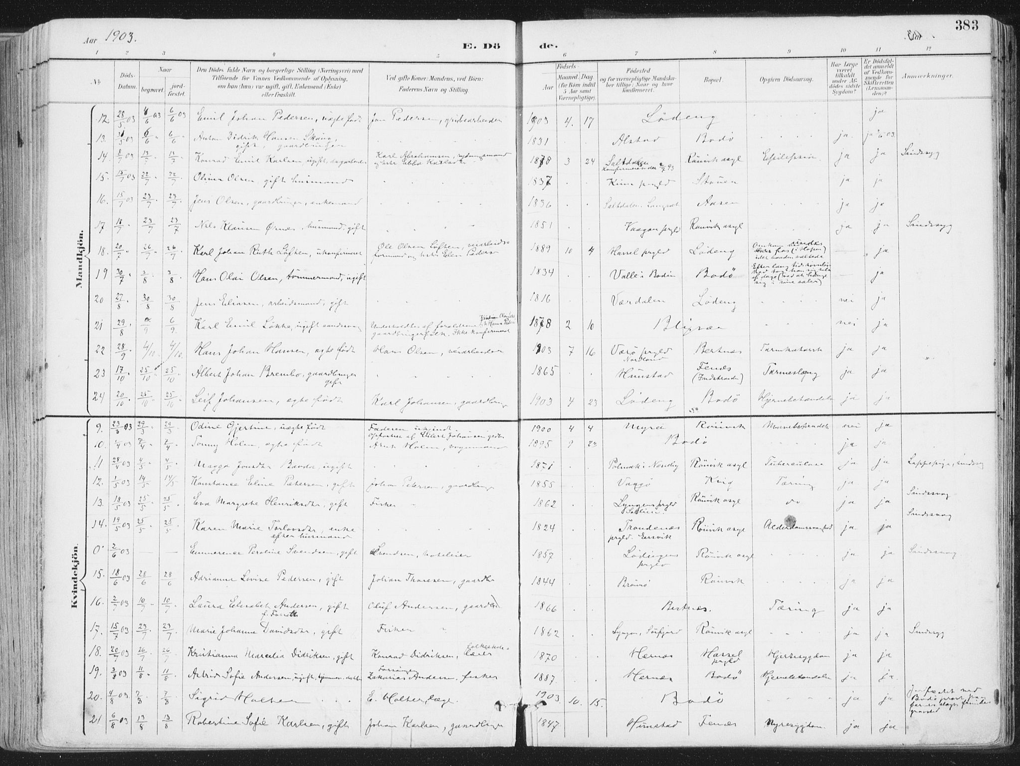 Ministerialprotokoller, klokkerbøker og fødselsregistre - Nordland, AV/SAT-A-1459/802/L0055: Parish register (official) no. 802A02, 1894-1915, p. 383