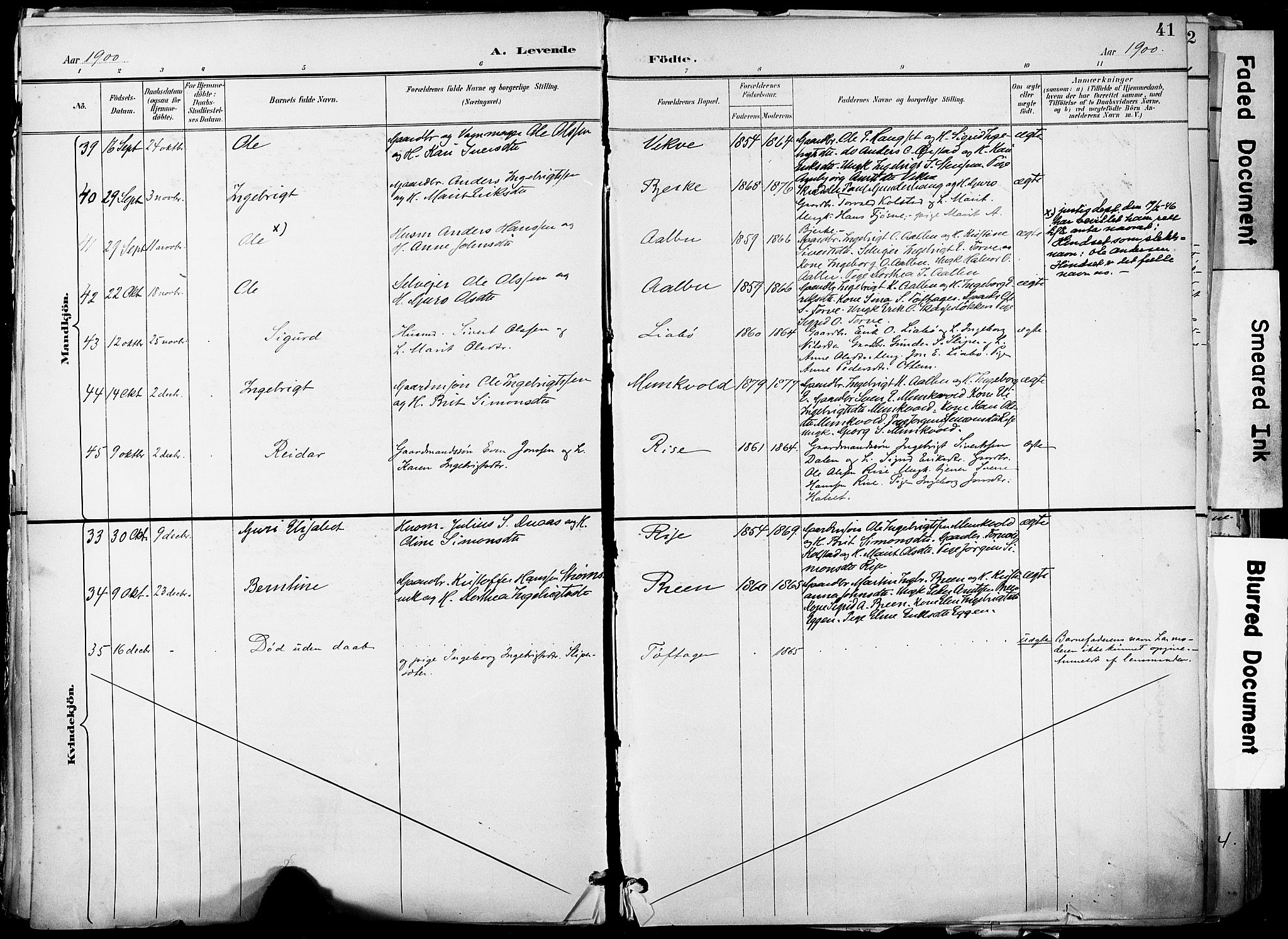 Ministerialprotokoller, klokkerbøker og fødselsregistre - Sør-Trøndelag, AV/SAT-A-1456/678/L0902: Parish register (official) no. 678A11, 1895-1911, p. 41