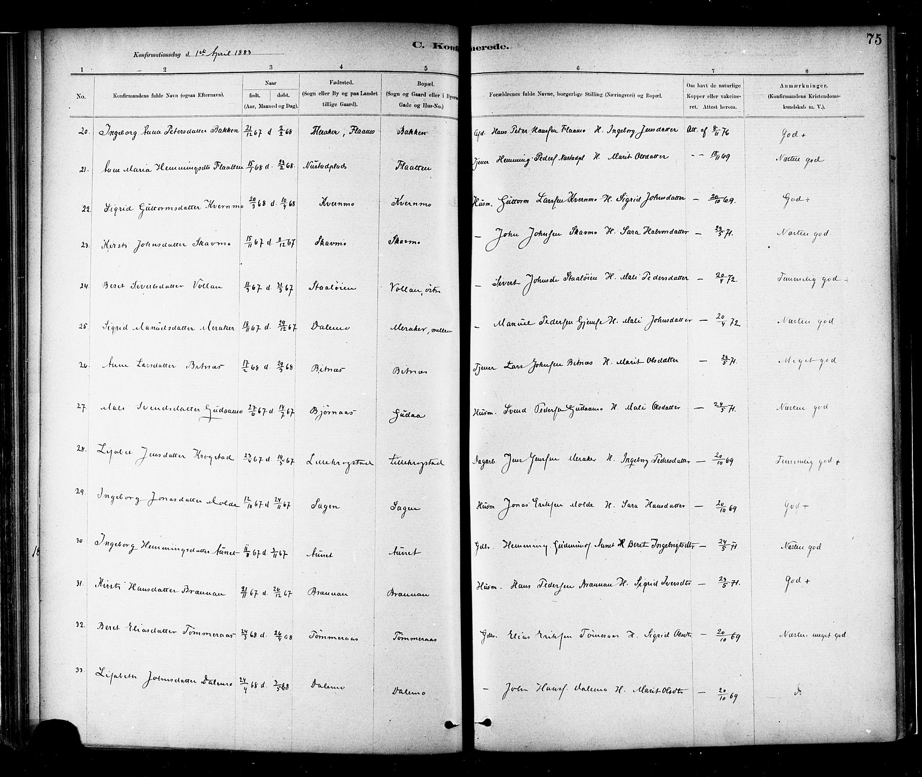 Ministerialprotokoller, klokkerbøker og fødselsregistre - Nord-Trøndelag, SAT/A-1458/706/L0047: Parish register (official) no. 706A03, 1878-1892, p. 75