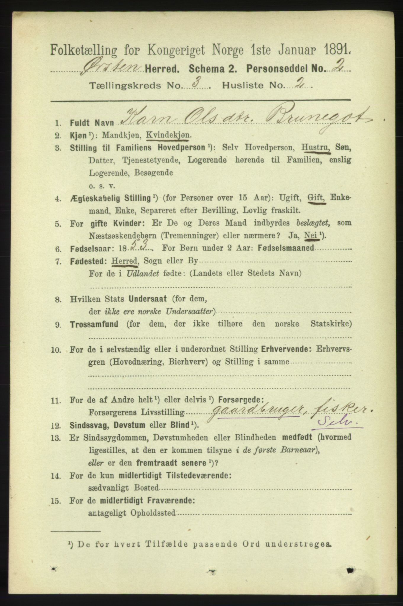 RA, 1891 census for 1520 Ørsta, 1891, p. 1216