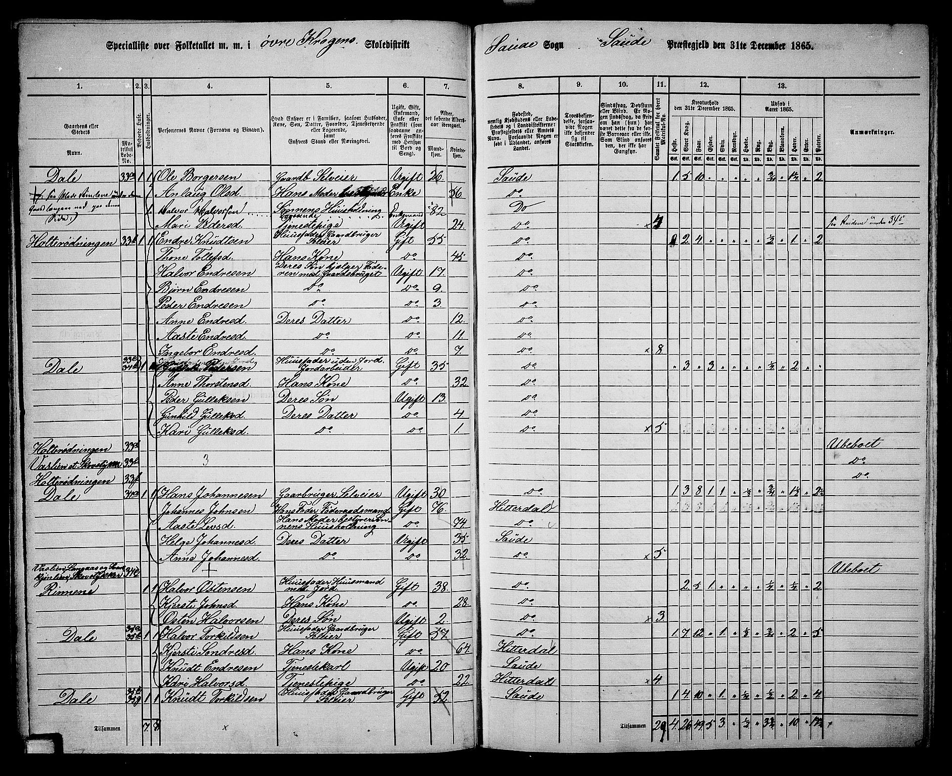 RA, 1865 census for Sauherad, 1865, p. 33