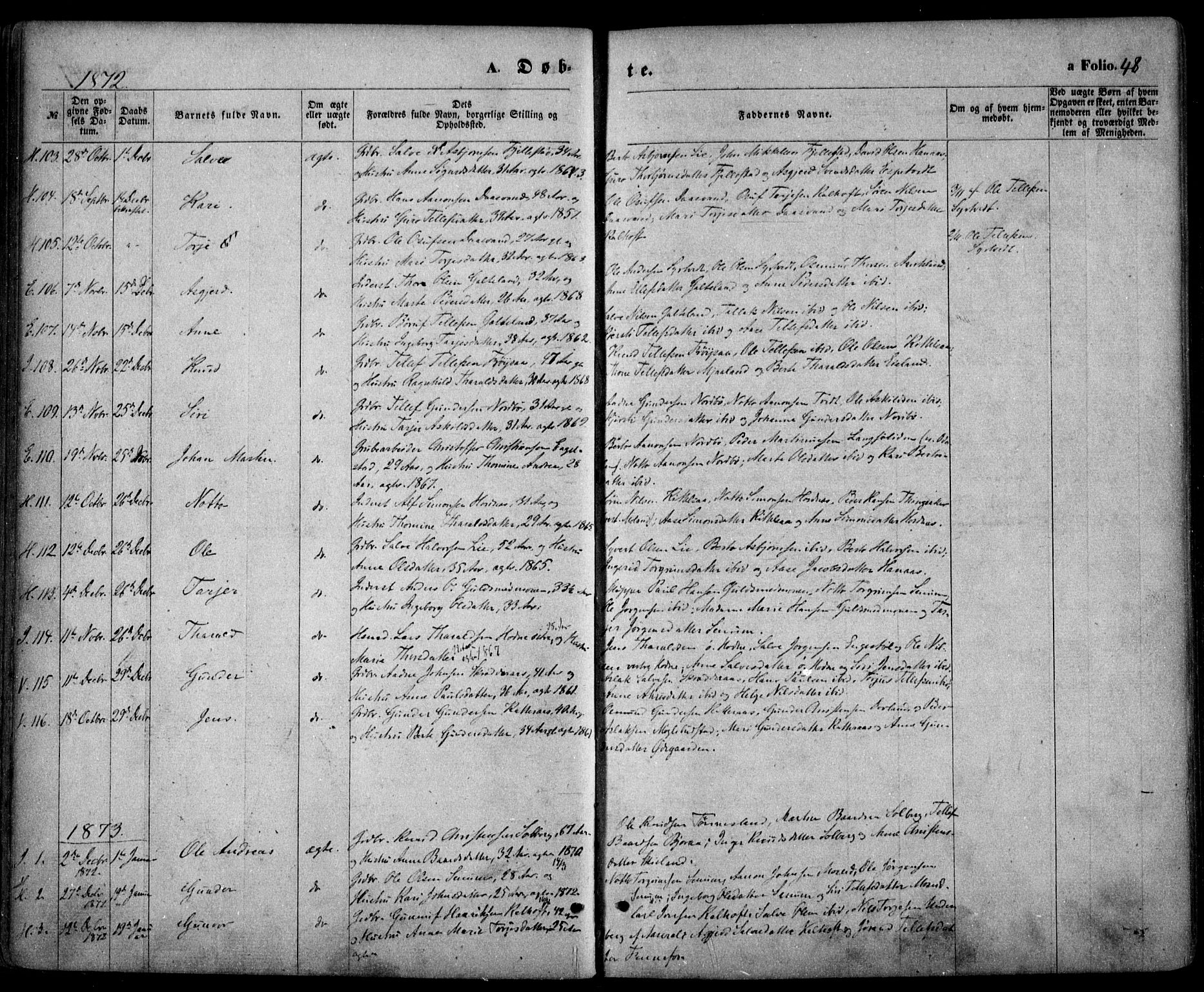 Evje sokneprestkontor, AV/SAK-1111-0008/F/Fa/Faa/L0006: Parish register (official) no. A 6, 1866-1884, p. 48