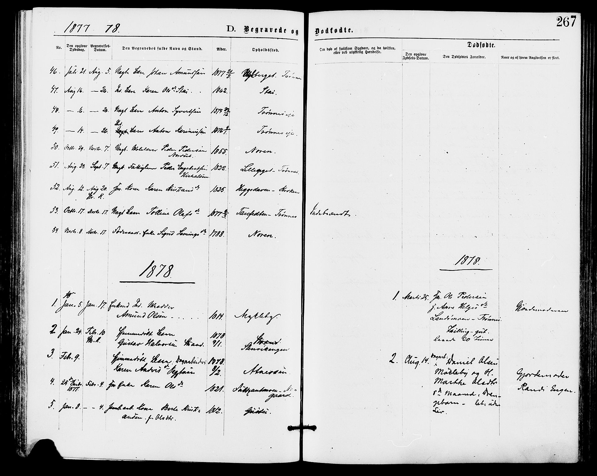 Stor-Elvdal prestekontor, SAH/PREST-052/H/Ha/Haa/L0001: Parish register (official) no. 1, 1871-1882, p. 267