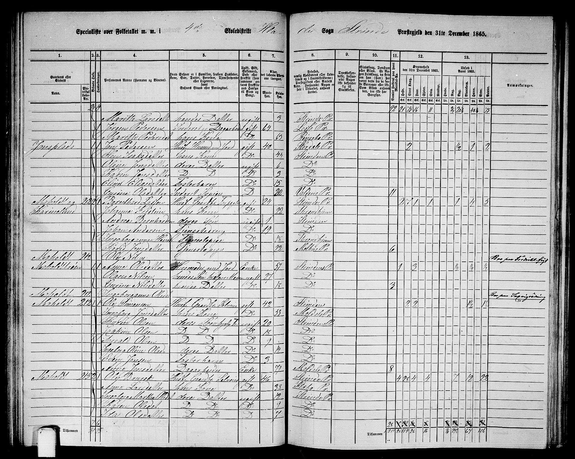 RA, 1865 census for Strinda, 1865, p. 106