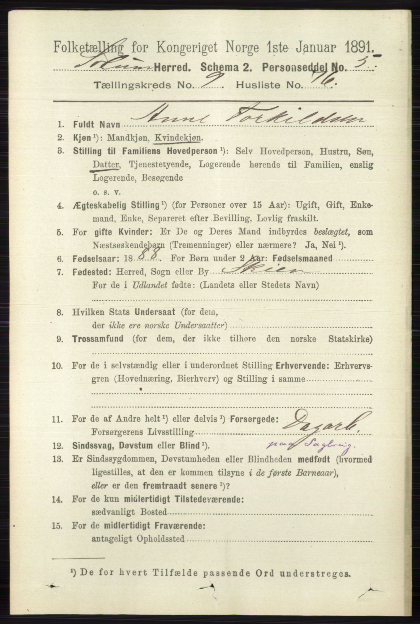 RA, 1891 census for 0818 Solum, 1891, p. 2481