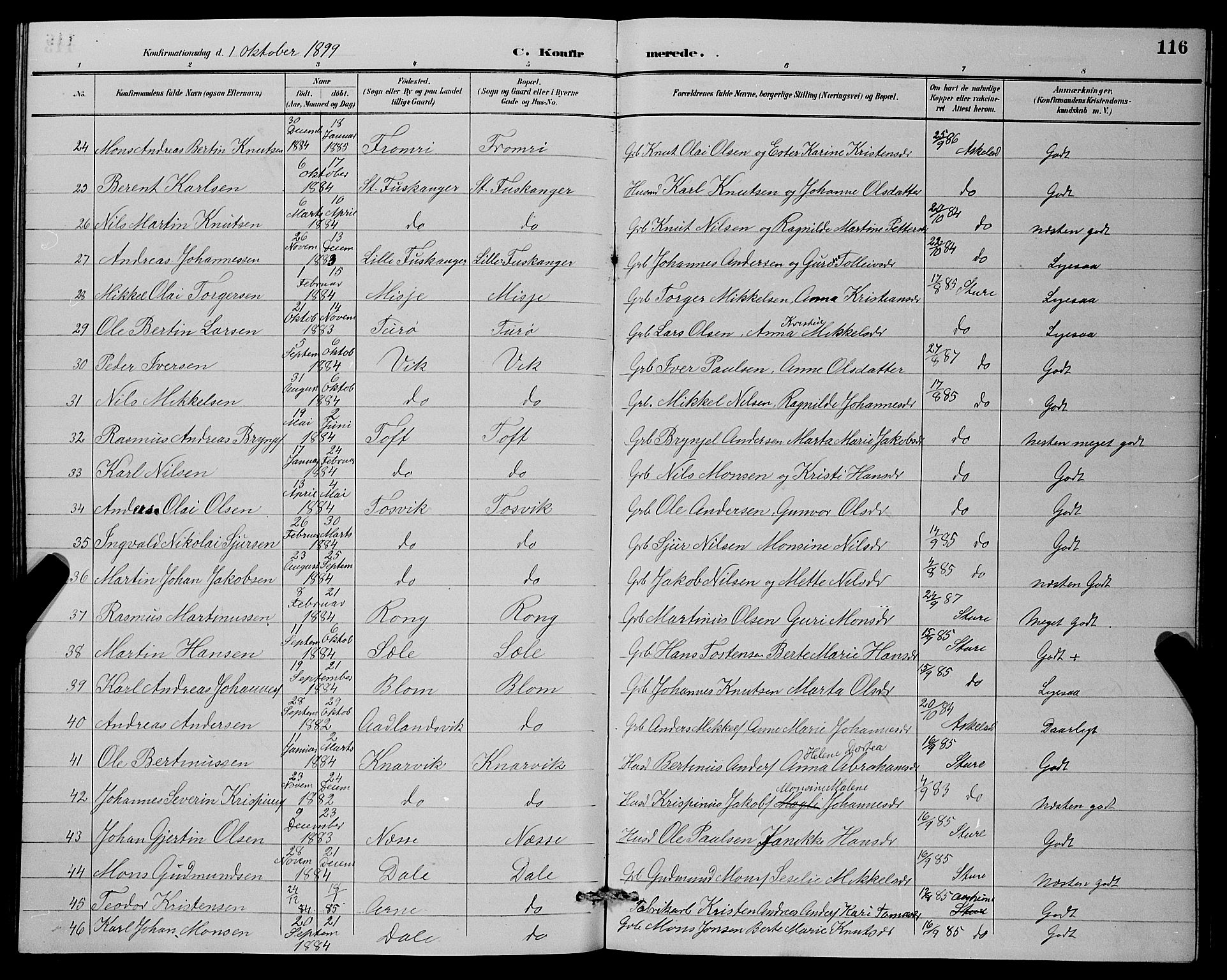 Herdla Sokneprestembete, AV/SAB-A-75701/H/Hab: Parish register (copy) no. A 3, 1889-1899, p. 116