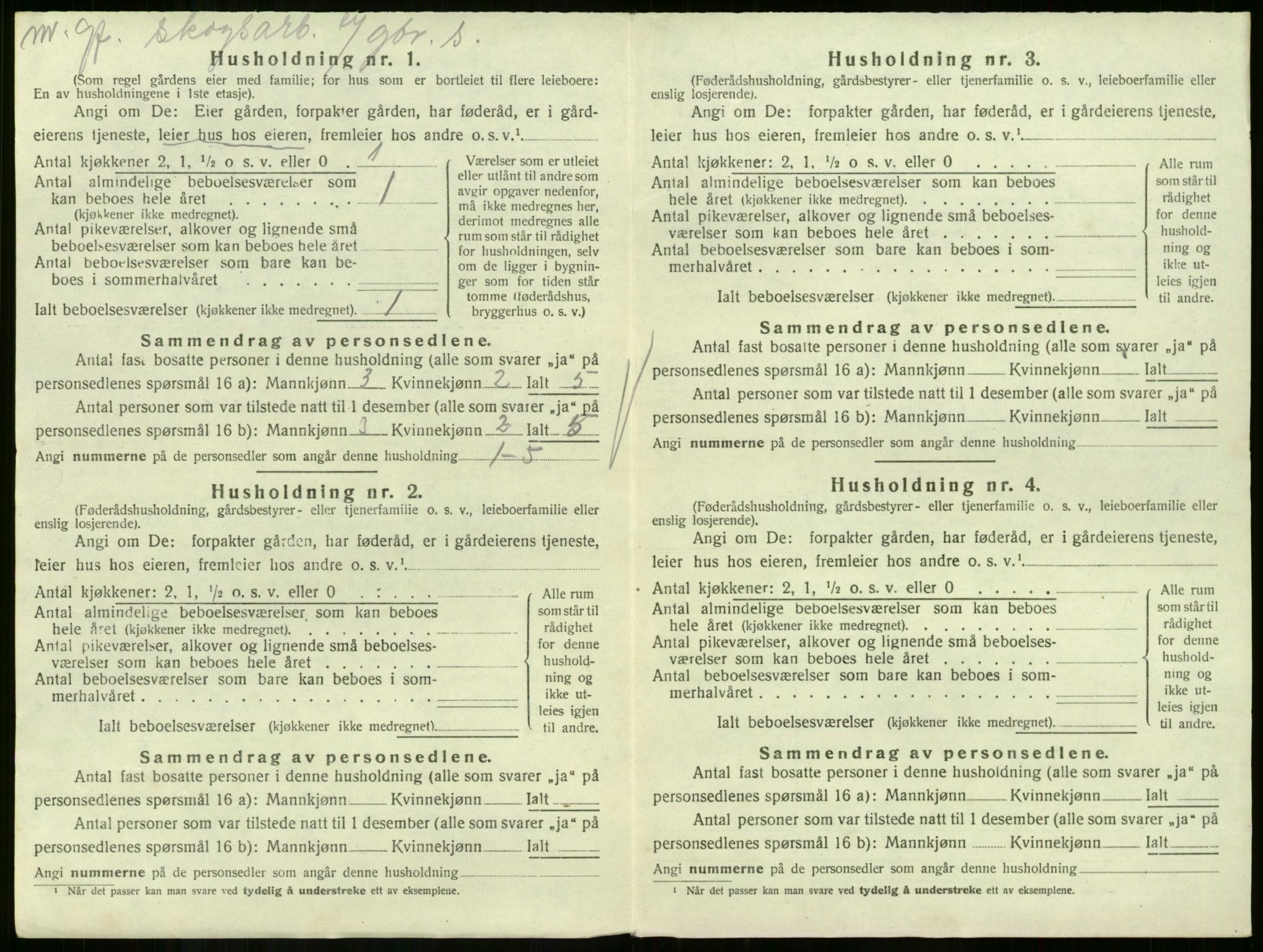 SAKO, 1920 census for Skoger, 1920, p. 1319