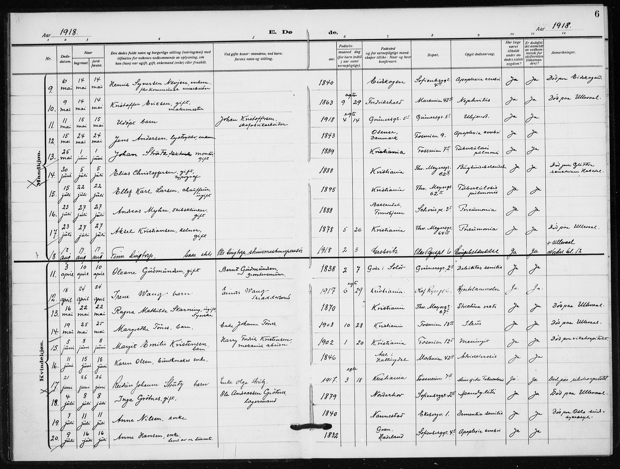 Hauge prestekontor Kirkebøker, SAO/A-10849/F/Fa/L0005: Parish register (official) no. 5, 1917-1938, p. 6