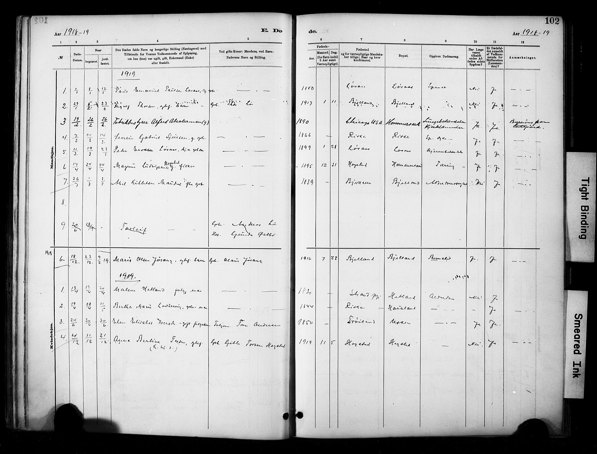 Hetland sokneprestkontor, SAST/A-101826/30/30BA/L0010: Parish register (official) no. A 10, 1882-1925, p. 102