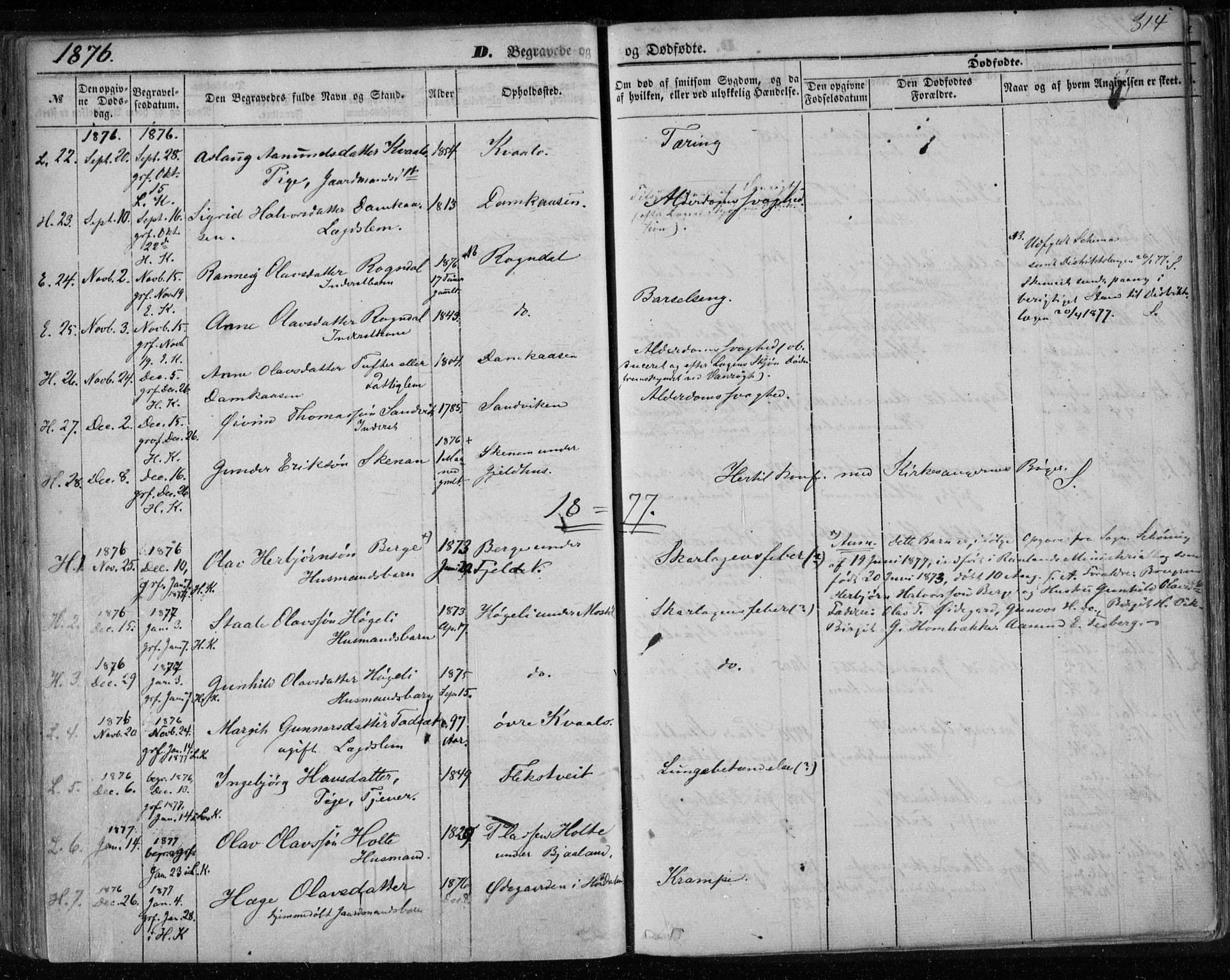 Lårdal kirkebøker, SAKO/A-284/F/Fa/L0006: Parish register (official) no. I 6, 1861-1886, p. 314