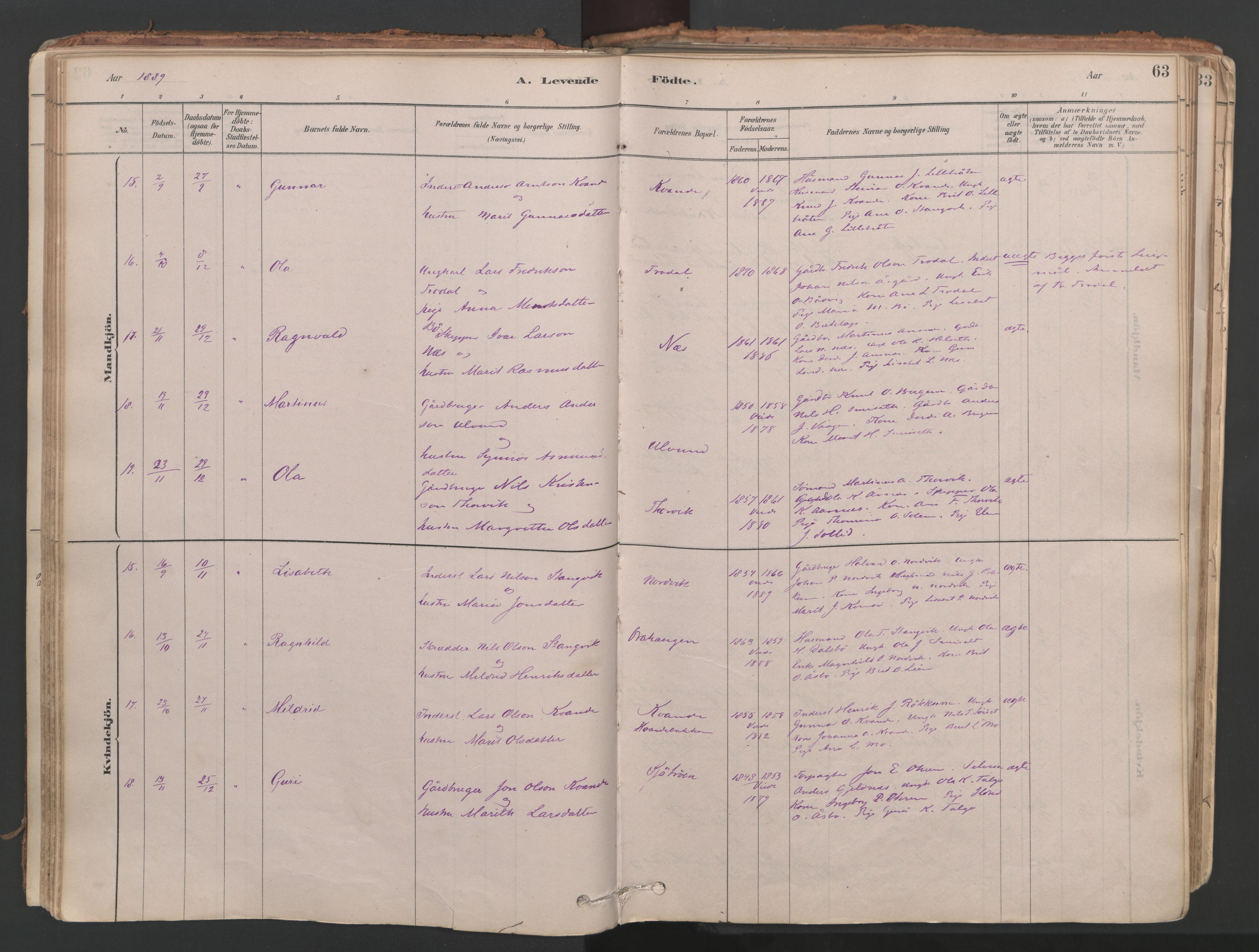 Ministerialprotokoller, klokkerbøker og fødselsregistre - Møre og Romsdal, AV/SAT-A-1454/592/L1029: Parish register (official) no. 592A07, 1879-1902, p. 63