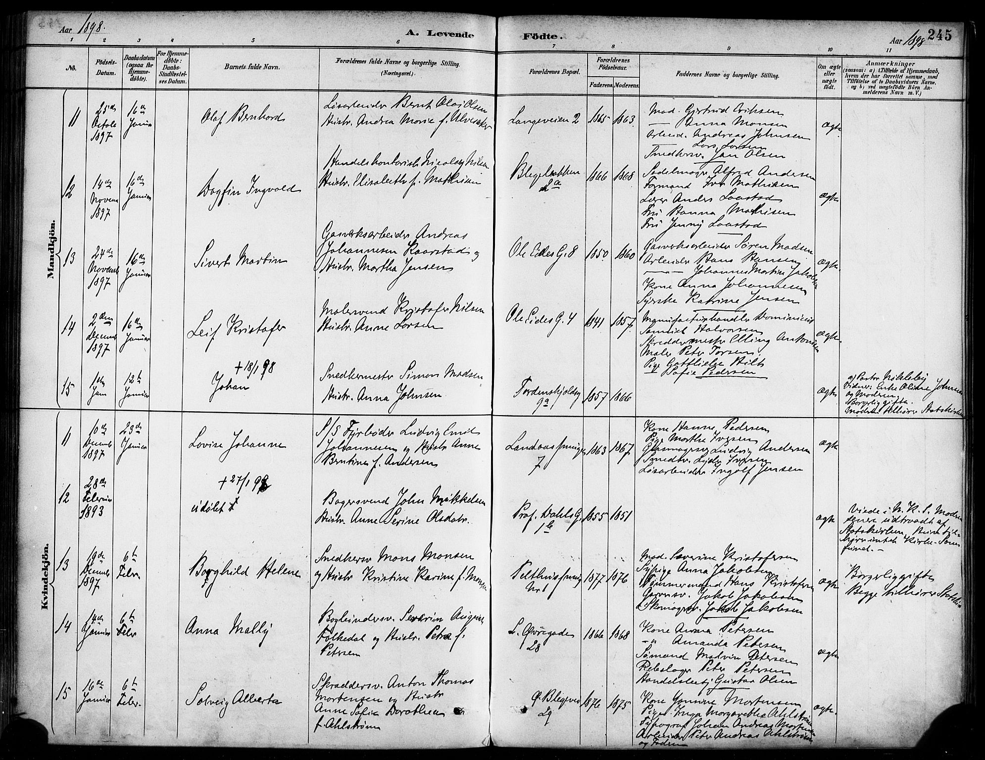 Korskirken sokneprestembete, AV/SAB-A-76101/H/Haa/L0022: Parish register (official) no. B 8, 1889-1899, p. 245