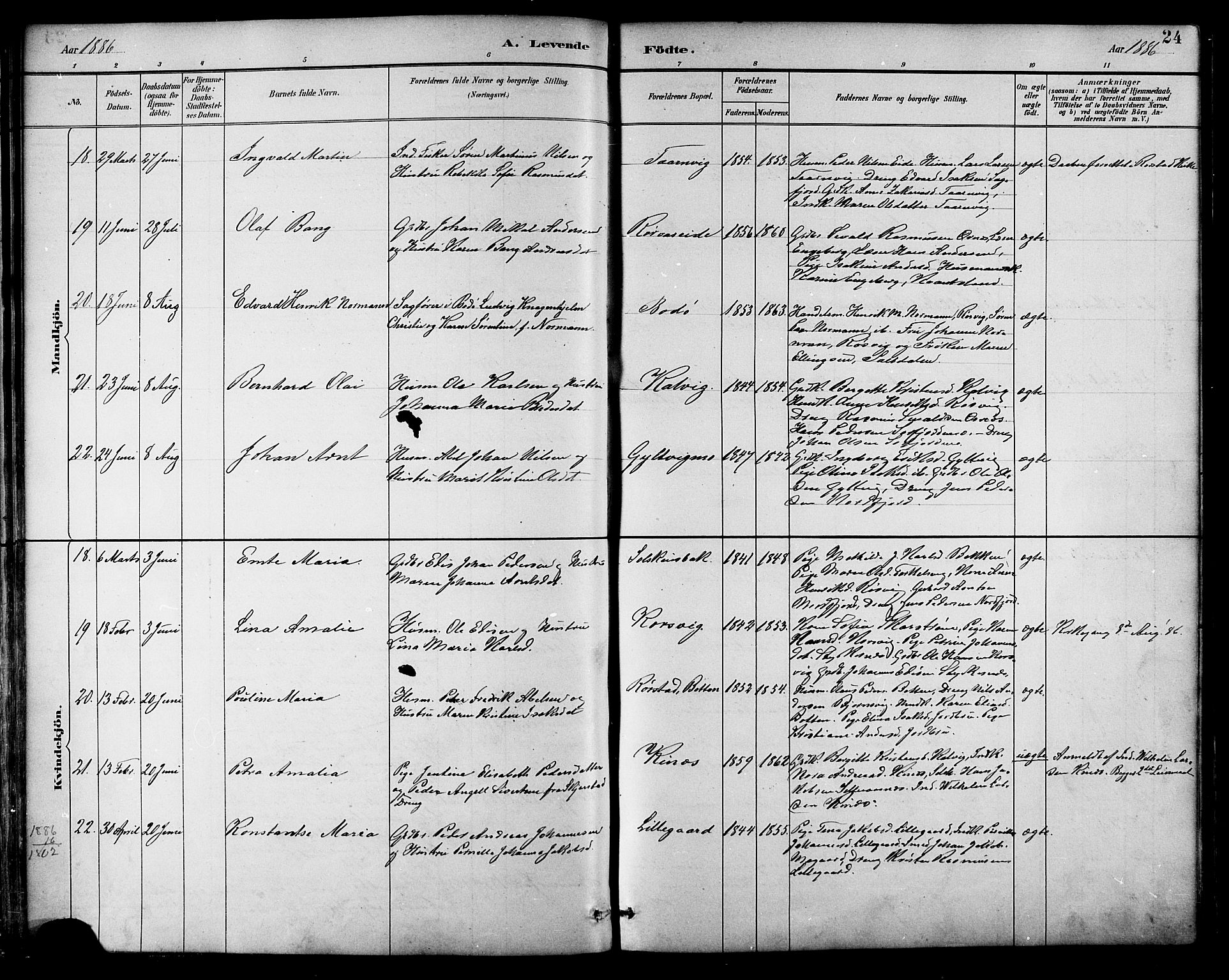 Ministerialprotokoller, klokkerbøker og fødselsregistre - Nordland, AV/SAT-A-1459/854/L0777: Parish register (official) no. 854A01 /1, 1883-1891, p. 24