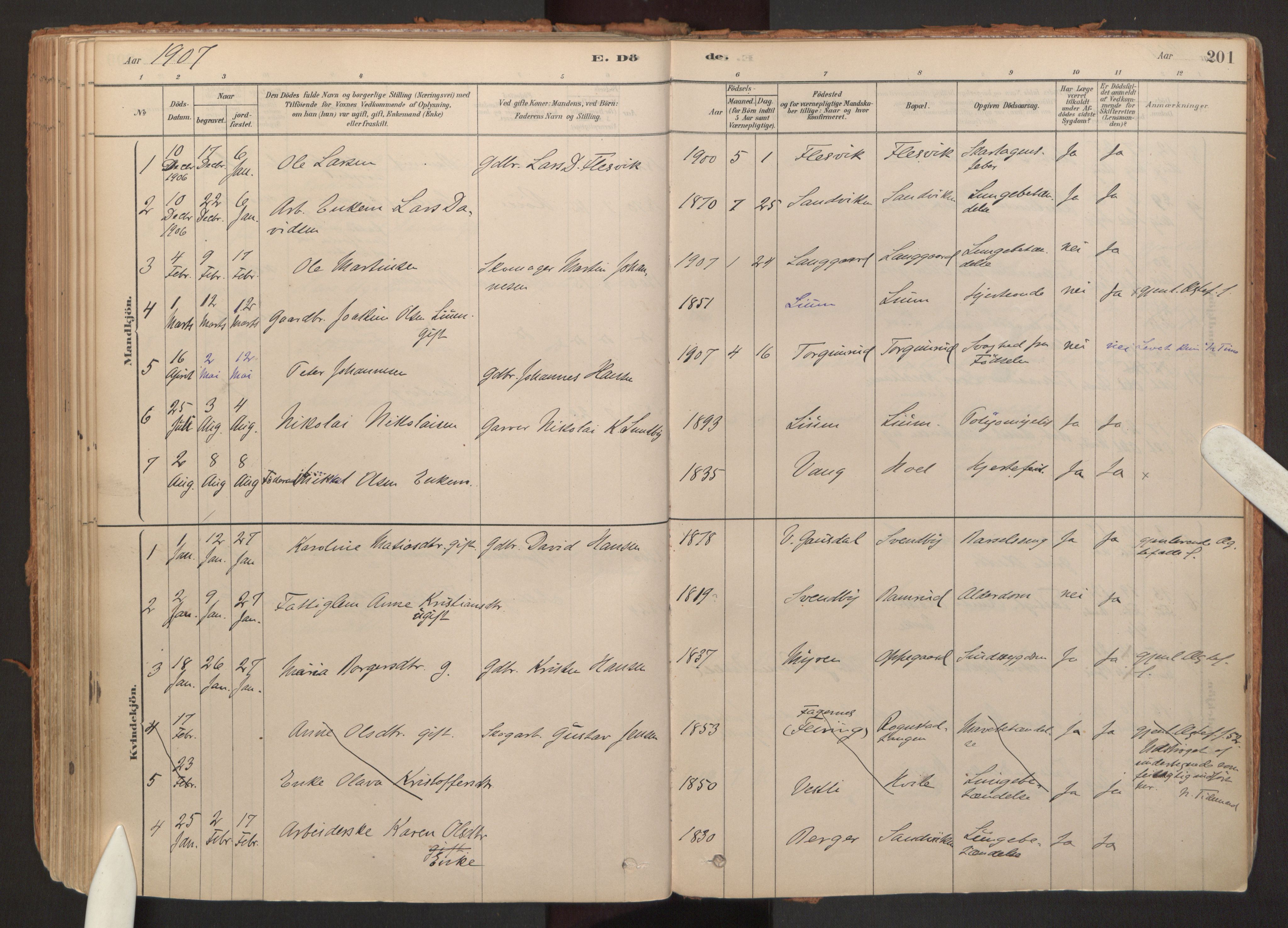 Hurdal prestekontor Kirkebøker, SAO/A-10889/F/Fb/L0003: Parish register (official) no. II 3, 1878-1920, p. 201