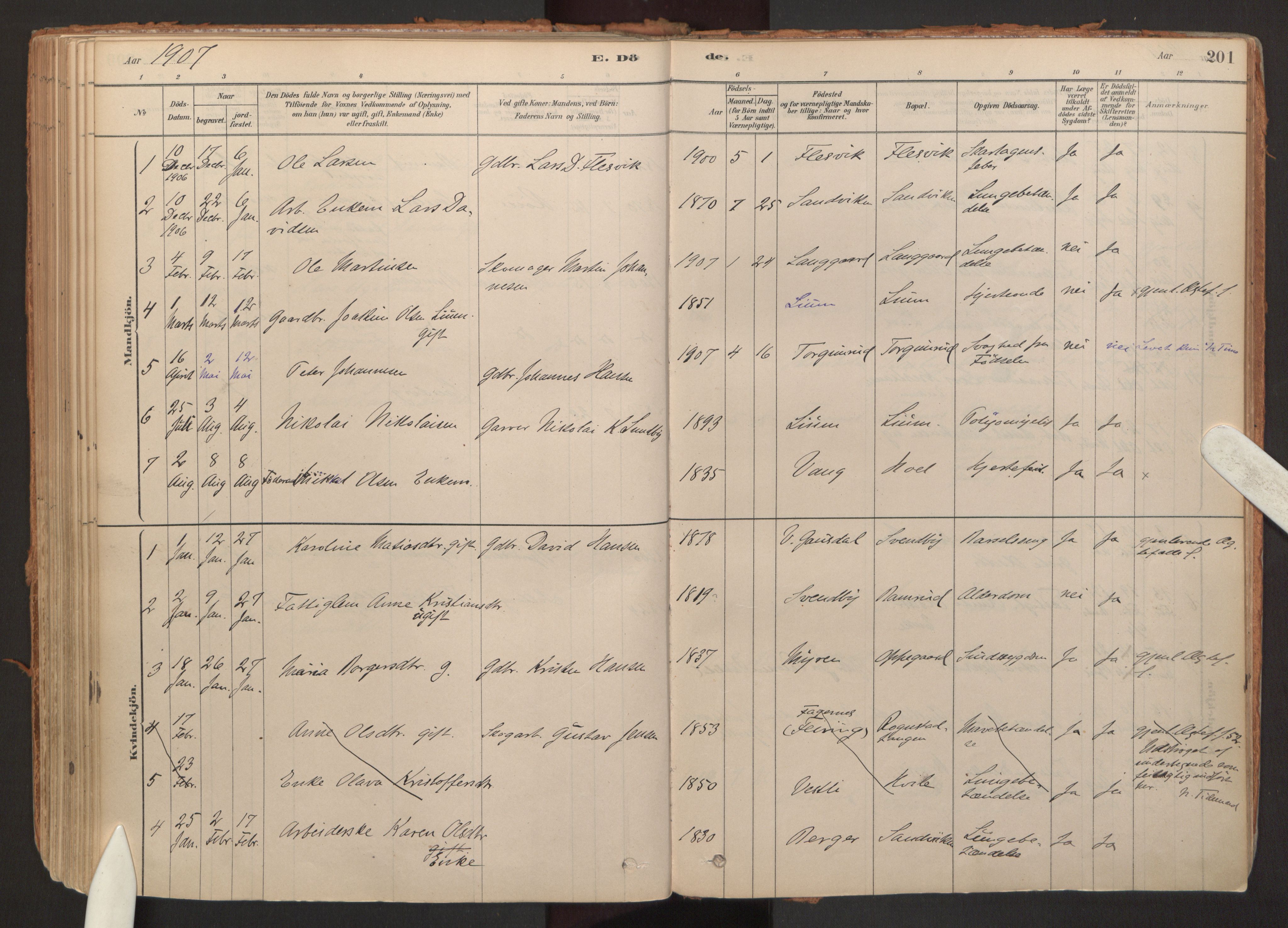 Hurdal prestekontor Kirkebøker, AV/SAO-A-10889/F/Fb/L0003: Parish register (official) no. II 3, 1878-1920, p. 201