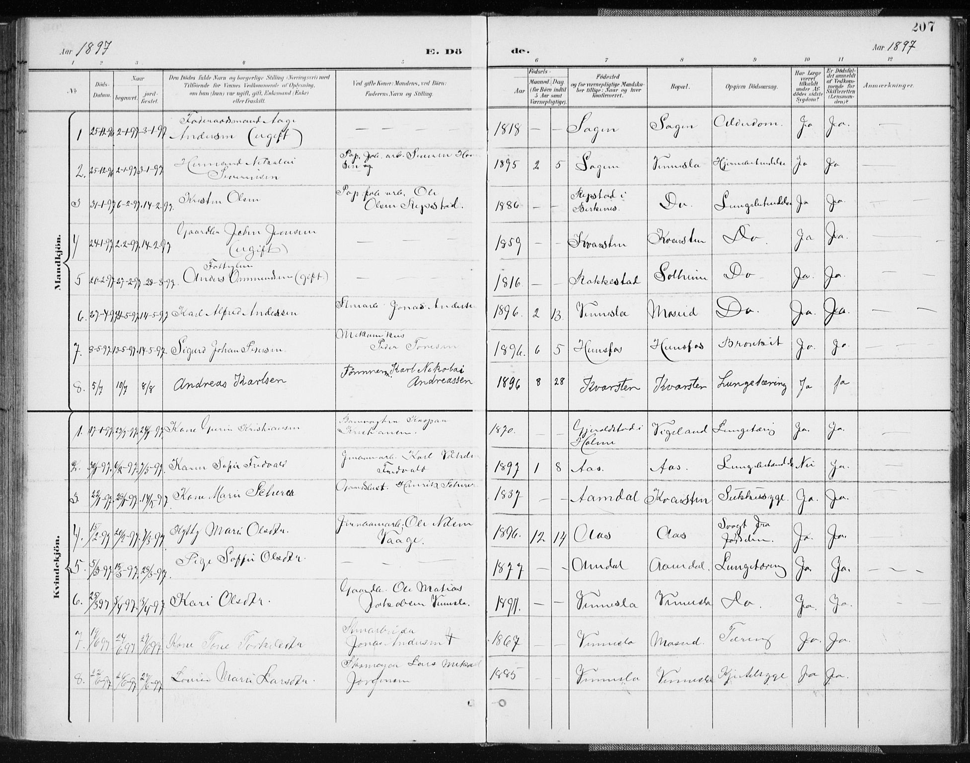 Vennesla sokneprestkontor, AV/SAK-1111-0045/Fa/Fab/L0005: Parish register (official) no. A 5, 1897-1909, p. 207