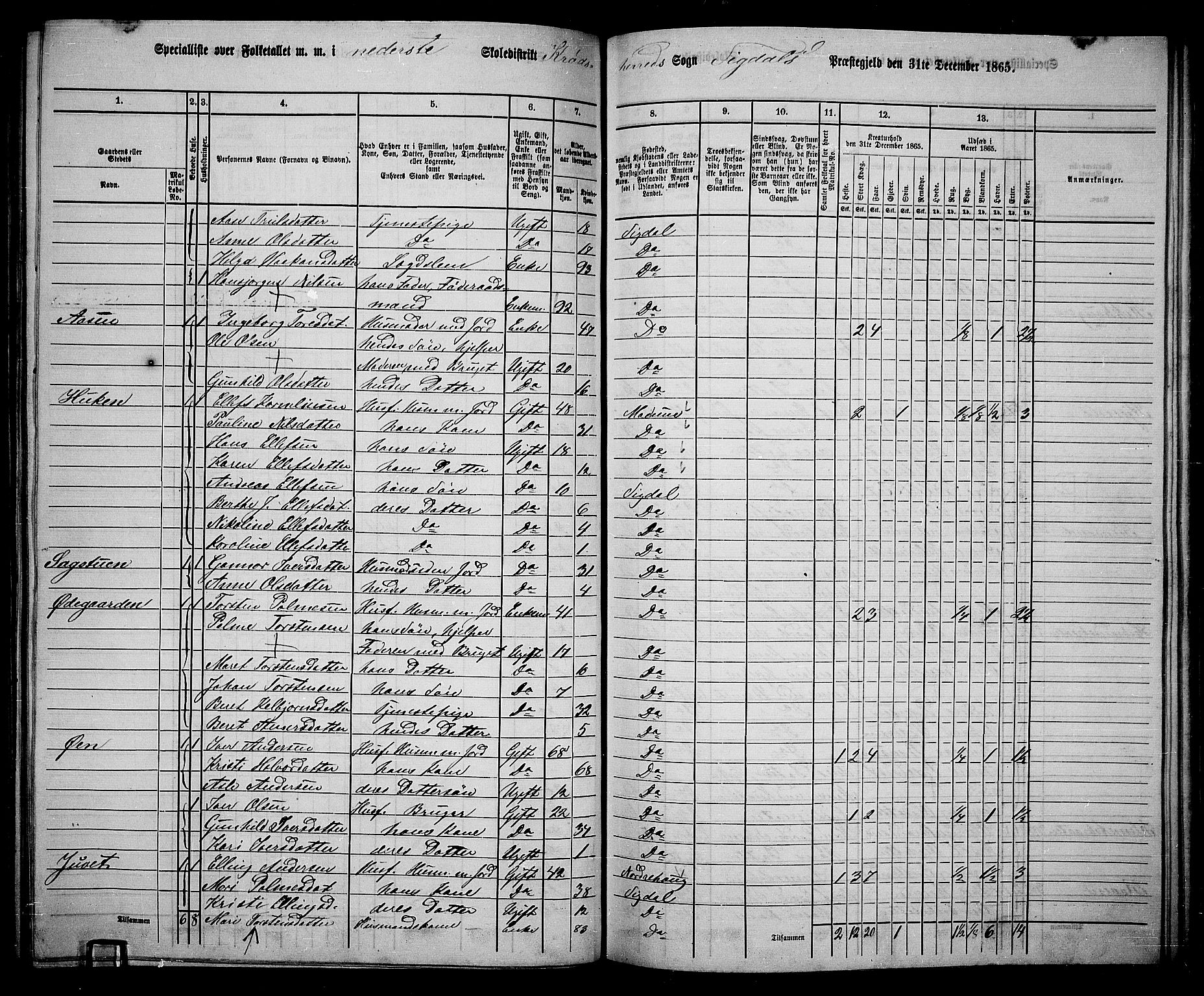 RA, 1865 census for Sigdal, 1865, p. 207