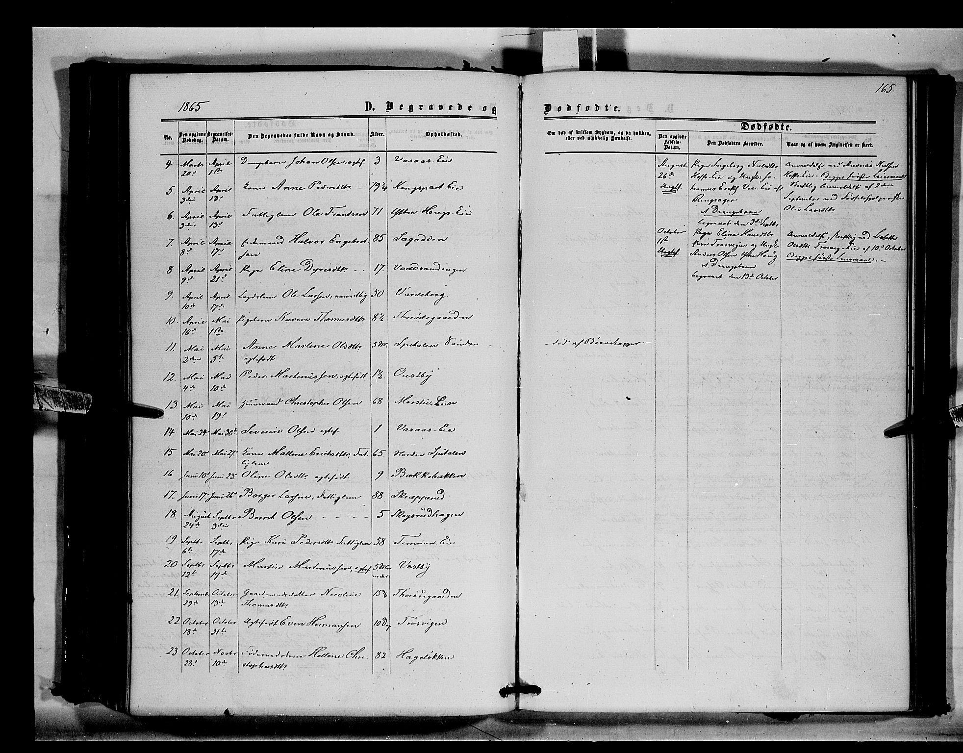 Stange prestekontor, SAH/PREST-002/K/L0014: Parish register (official) no. 14, 1862-1879, p. 165