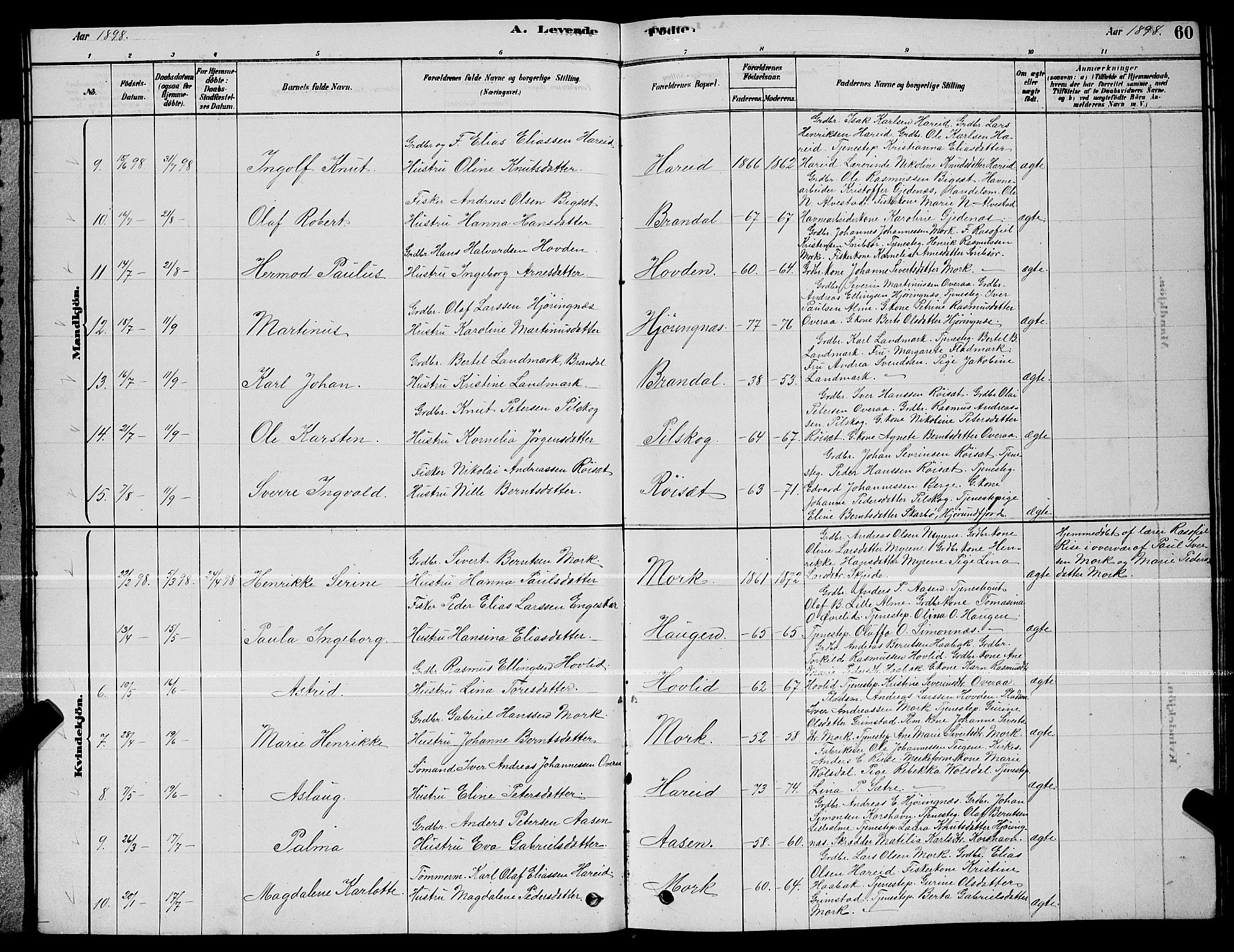 Ministerialprotokoller, klokkerbøker og fødselsregistre - Møre og Romsdal, AV/SAT-A-1454/510/L0125: Parish register (copy) no. 510C02, 1878-1900, p. 60