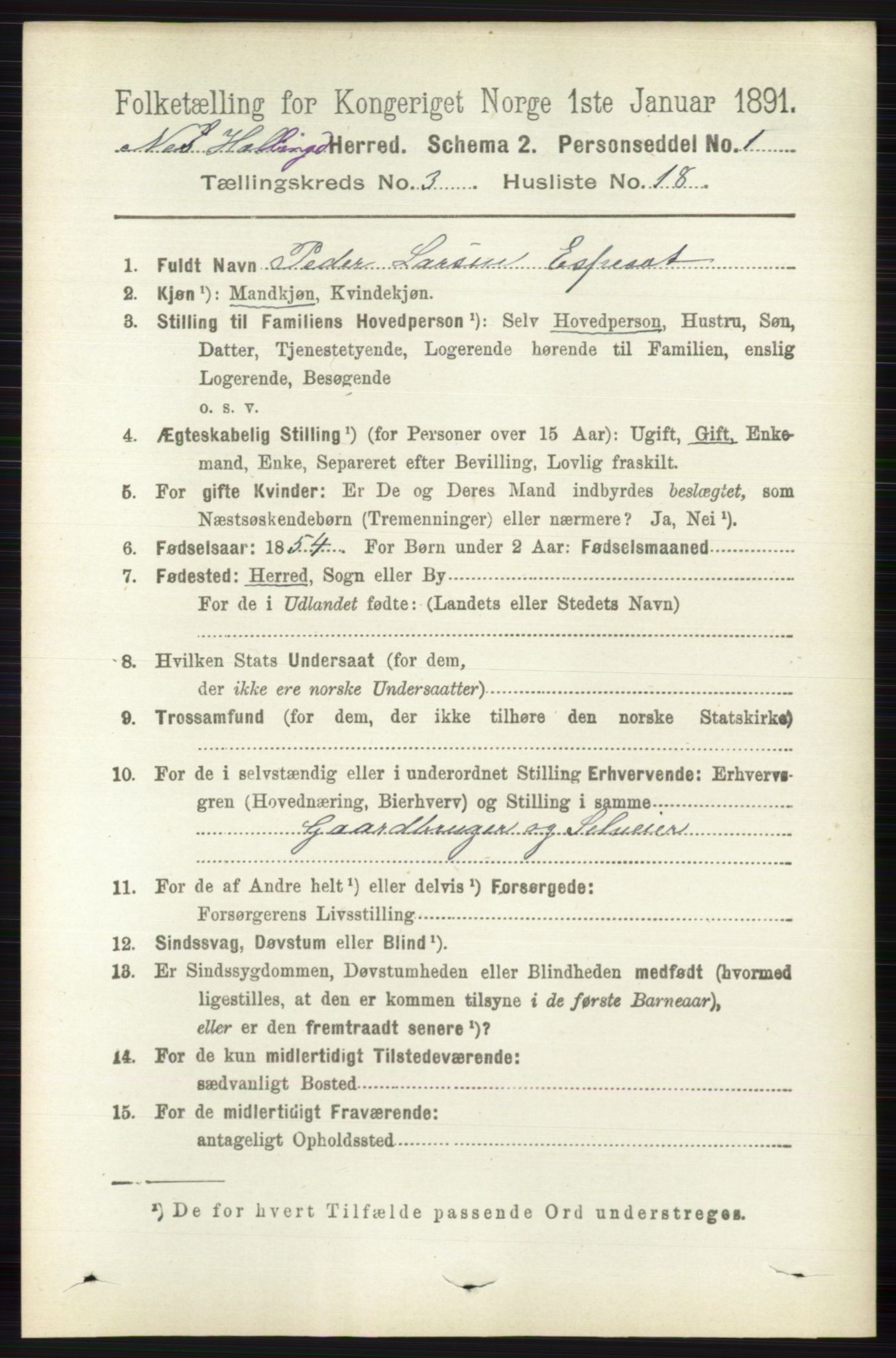 RA, 1891 census for 0616 Nes, 1891, p. 1603