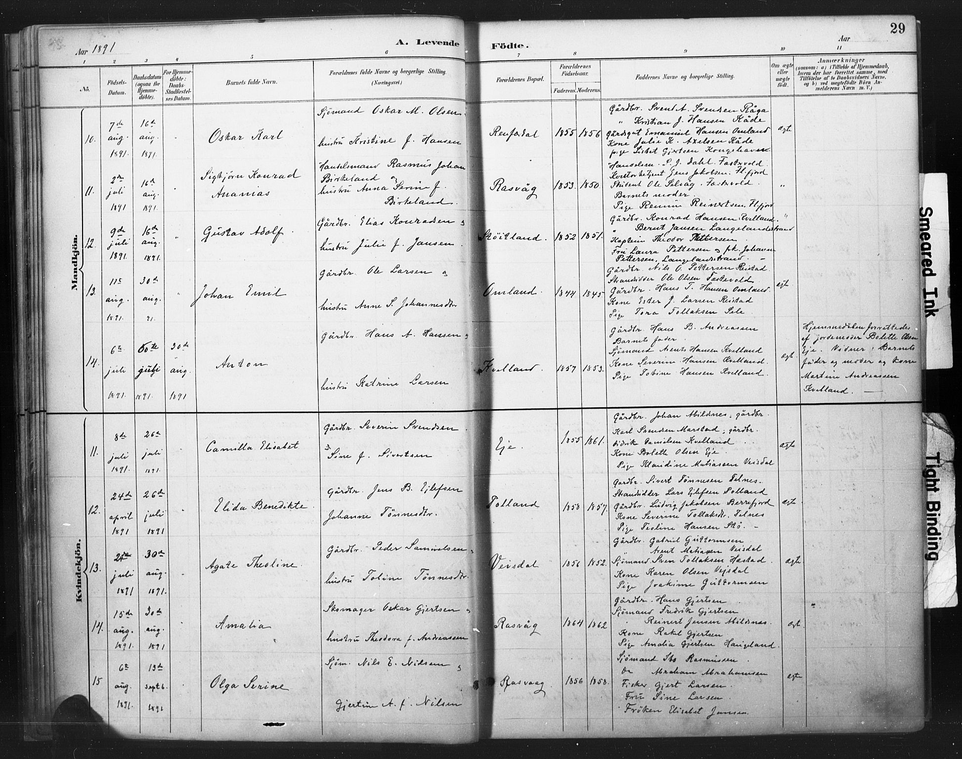 Flekkefjord sokneprestkontor, AV/SAK-1111-0012/F/Fa/Fab/L0006: Parish register (official) no. A 6, 1886-1901, p. 29