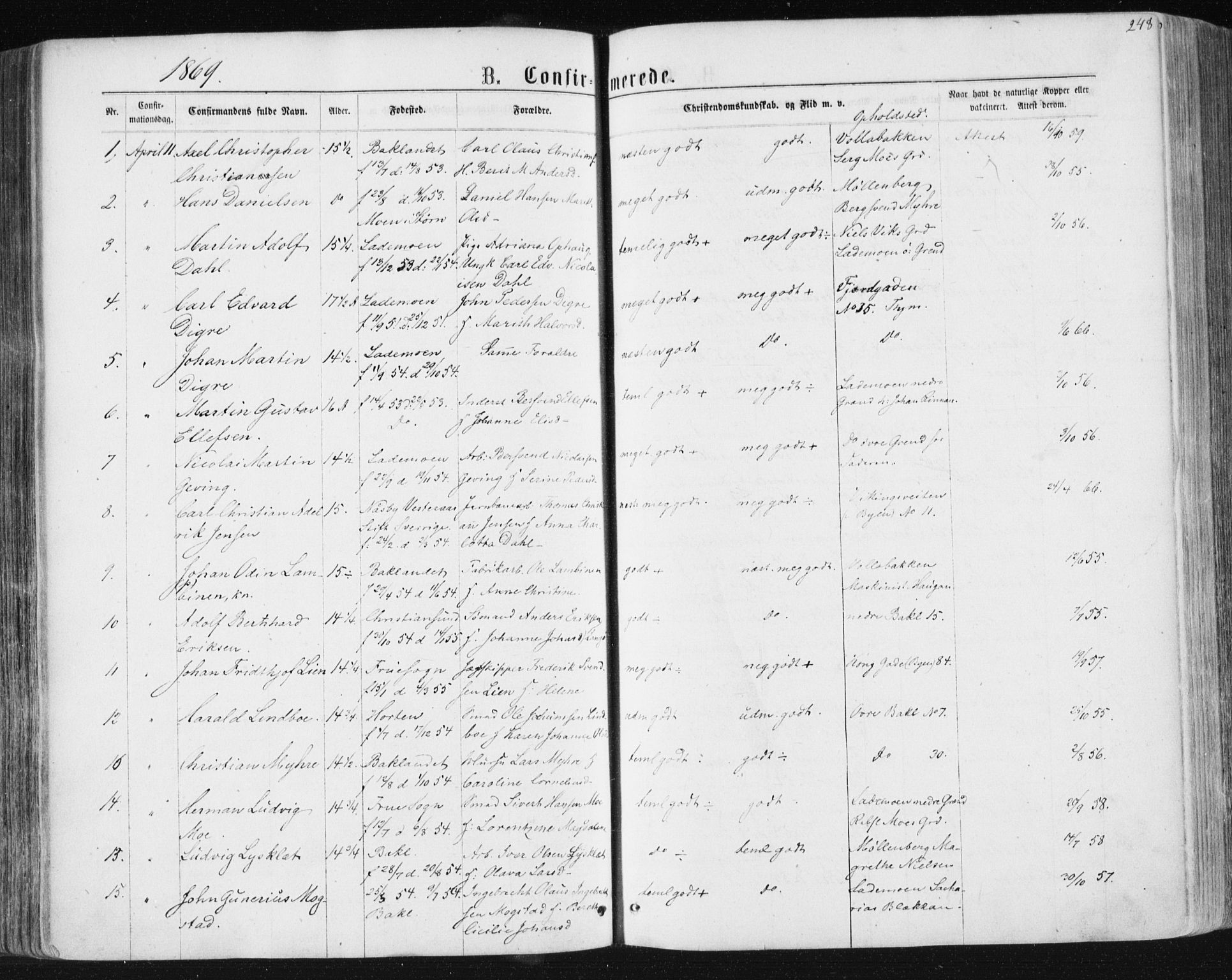 Ministerialprotokoller, klokkerbøker og fødselsregistre - Sør-Trøndelag, SAT/A-1456/604/L0186: Parish register (official) no. 604A07, 1866-1877, p. 248