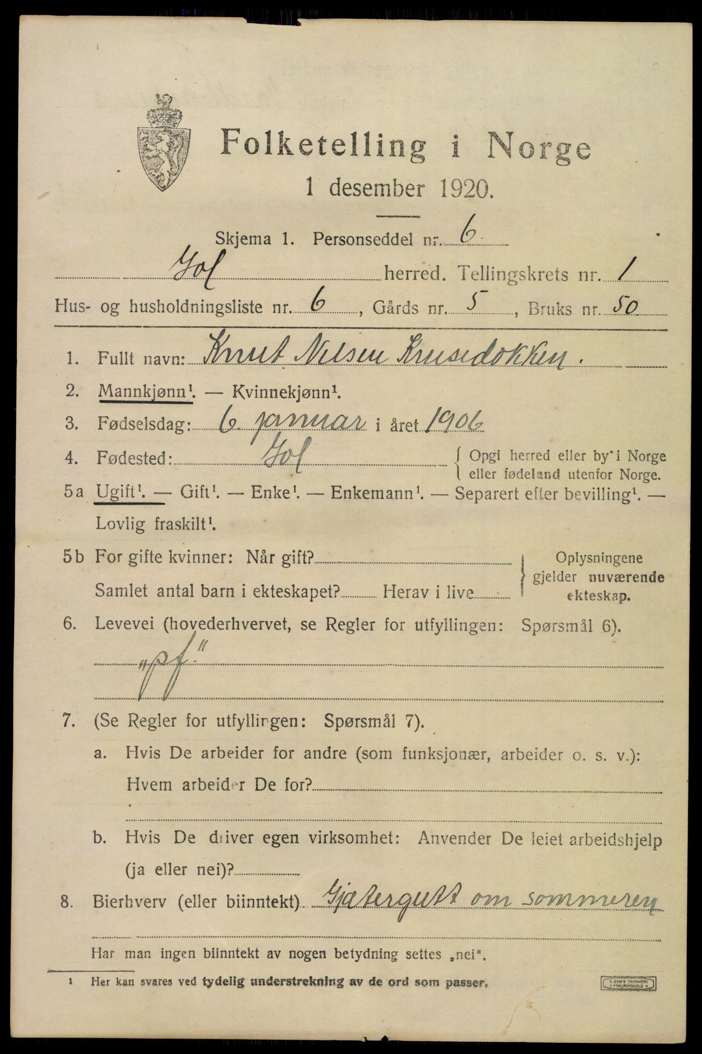 SAKO, 1920 census for Gol, 1920, p. 982