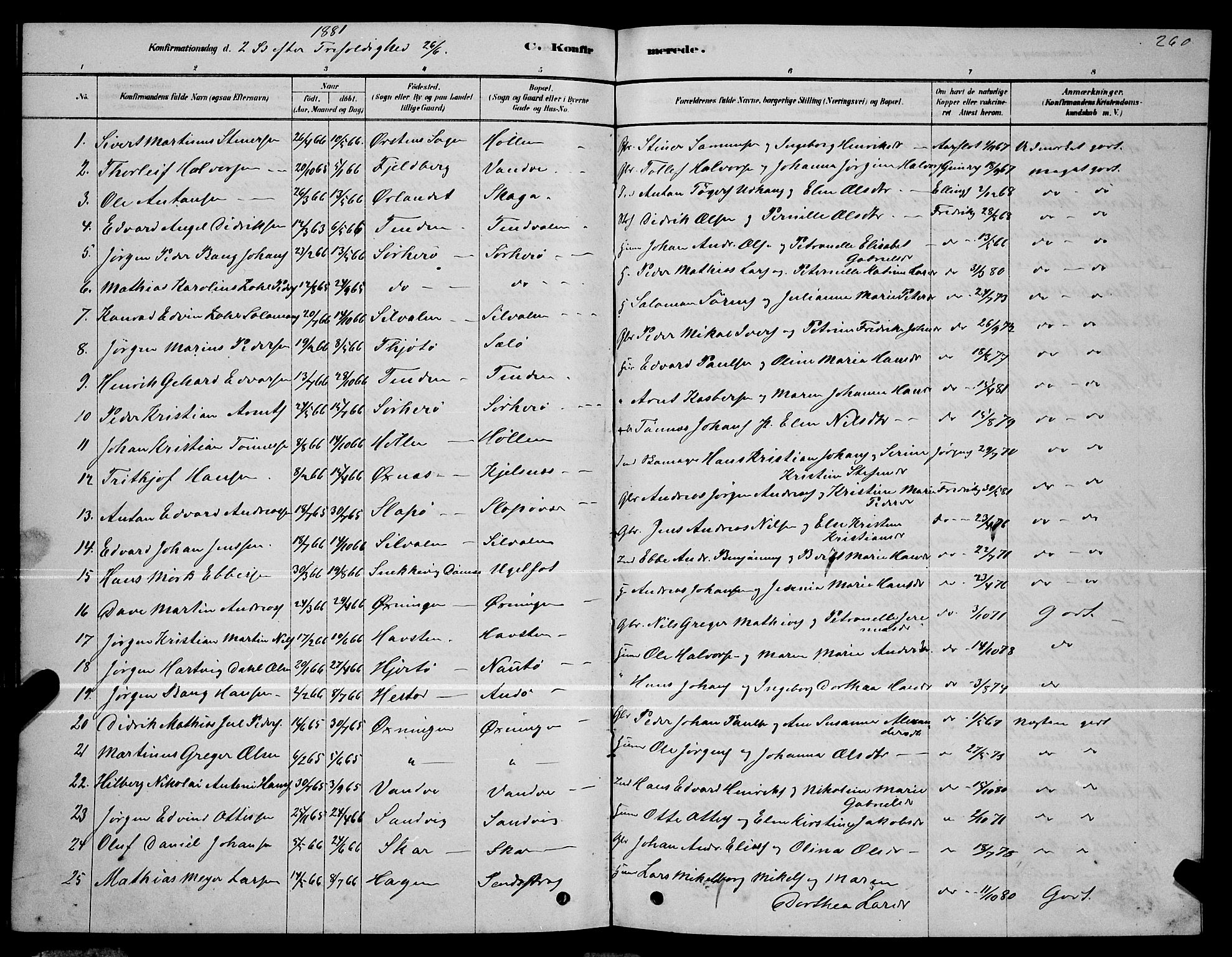 Ministerialprotokoller, klokkerbøker og fødselsregistre - Nordland, AV/SAT-A-1459/834/L0513: Parish register (copy) no. 834C04, 1877-1892, p. 260