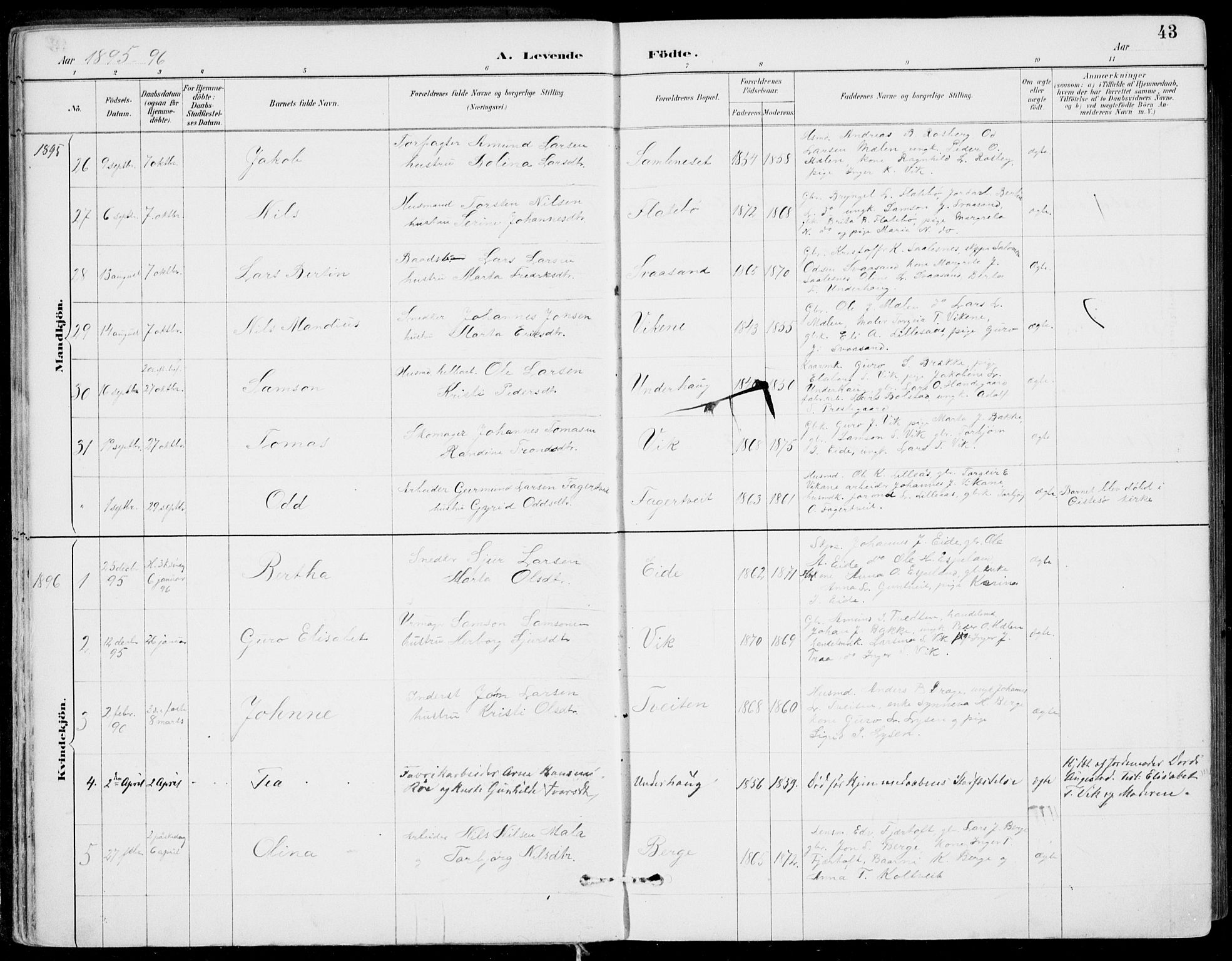 Strandebarm sokneprestembete, SAB/A-78401/H/Haa: Parish register (official) no. E  1, 1886-1908, p. 43