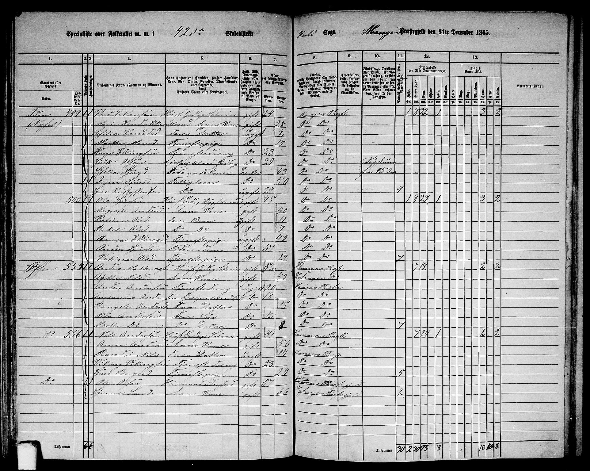 RA, 1865 census for Manger, 1865, p. 132