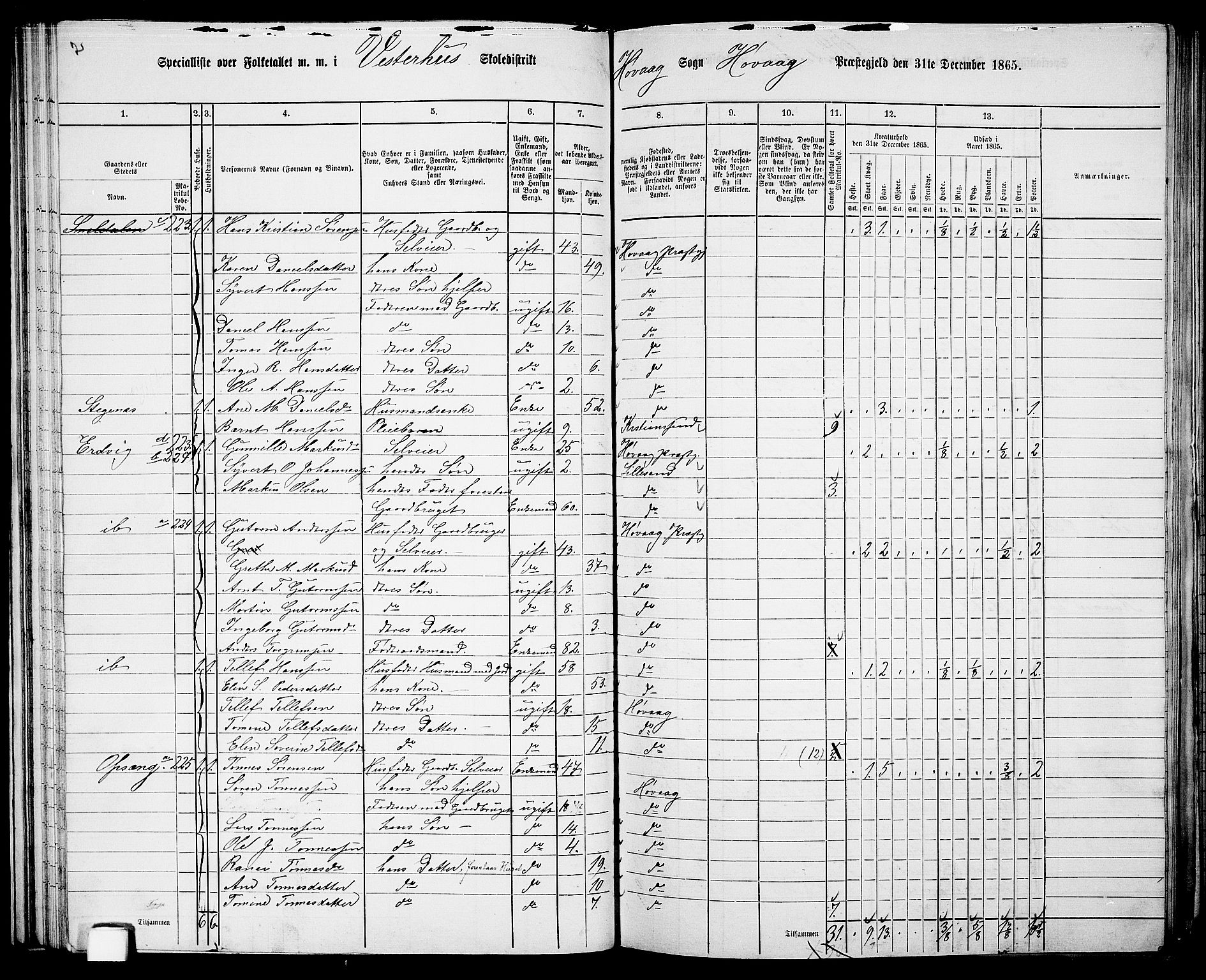 RA, 1865 census for Høvåg, 1865, p. 61