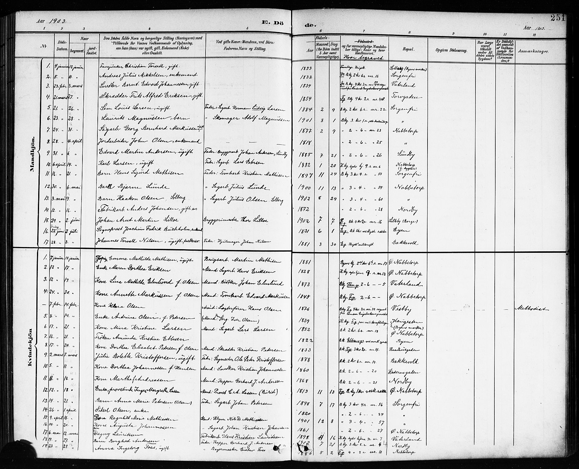 Østre Fredrikstad prestekontor Kirkebøker, AV/SAO-A-10907/G/Ga/L0002: Parish register (copy) no. 2, 1900-1919, p. 251