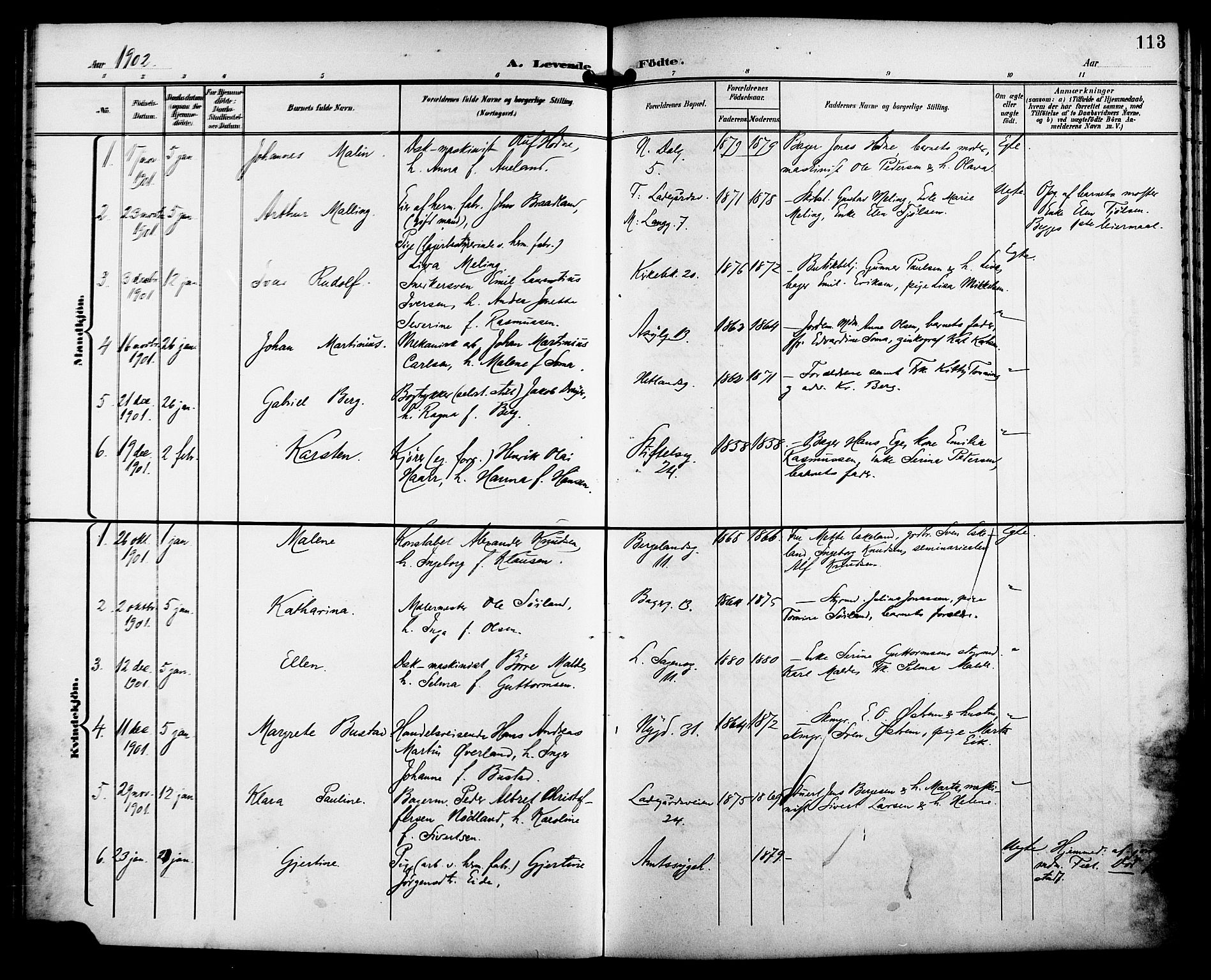St. Petri sokneprestkontor, AV/SAST-A-101813/001/30/30BB/L0008: Parish register (copy) no. B 8, 1897-1905, p. 113
