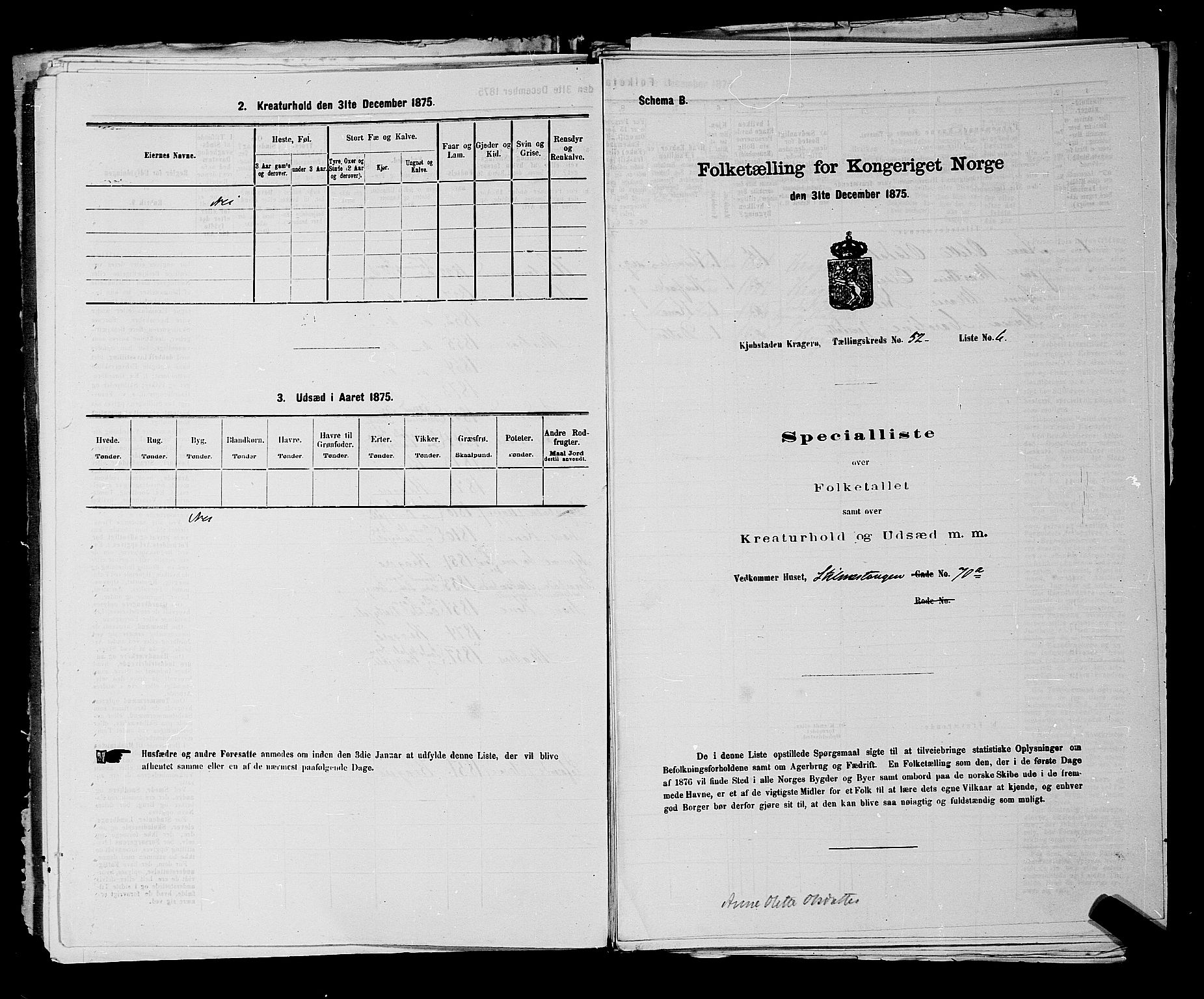 SAKO, 1875 census for 0801P Kragerø, 1875, p. 1154