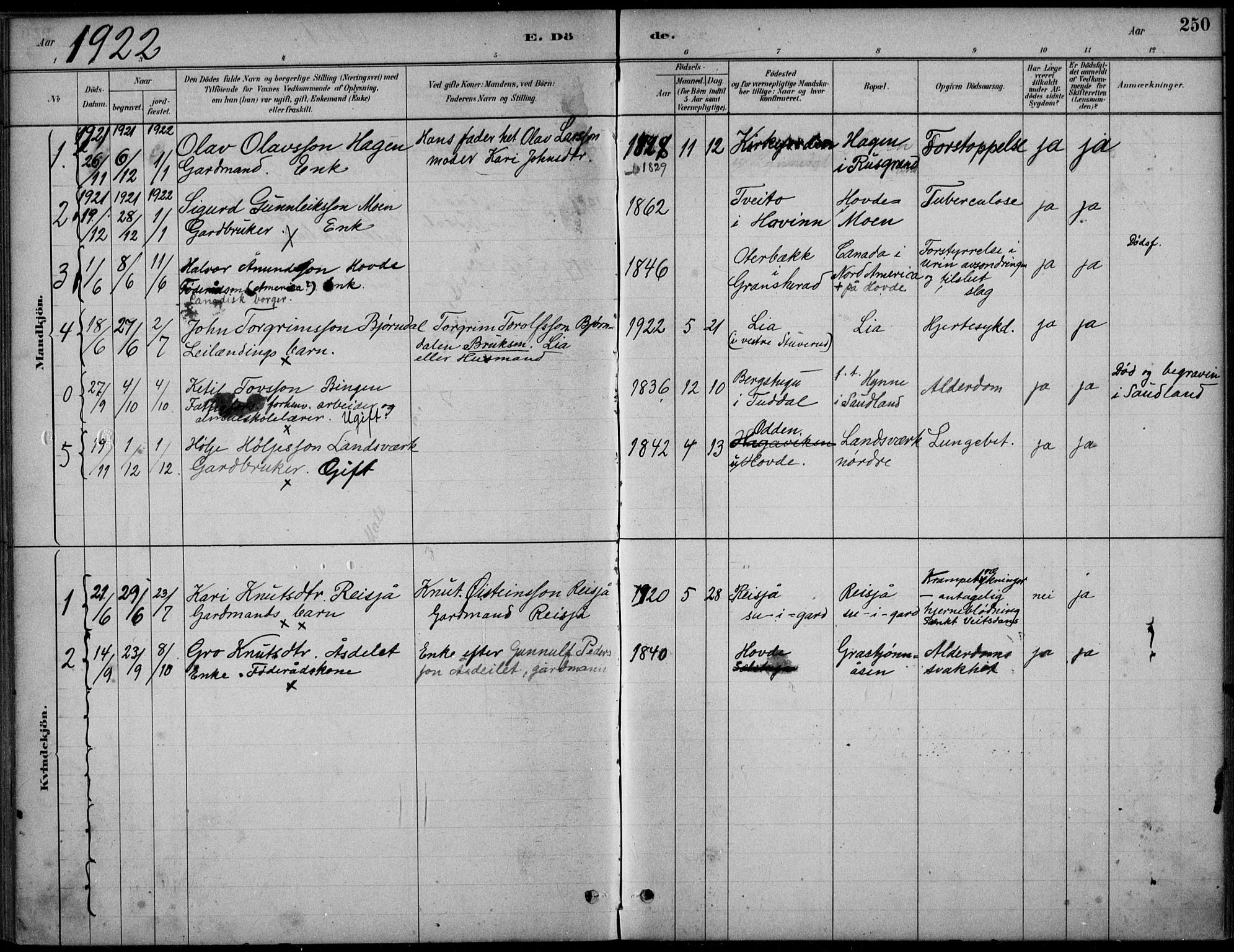 Hjartdal kirkebøker, AV/SAKO-A-270/F/Fc/L0002: Parish register (official) no. III 2, 1880-1936, p. 250