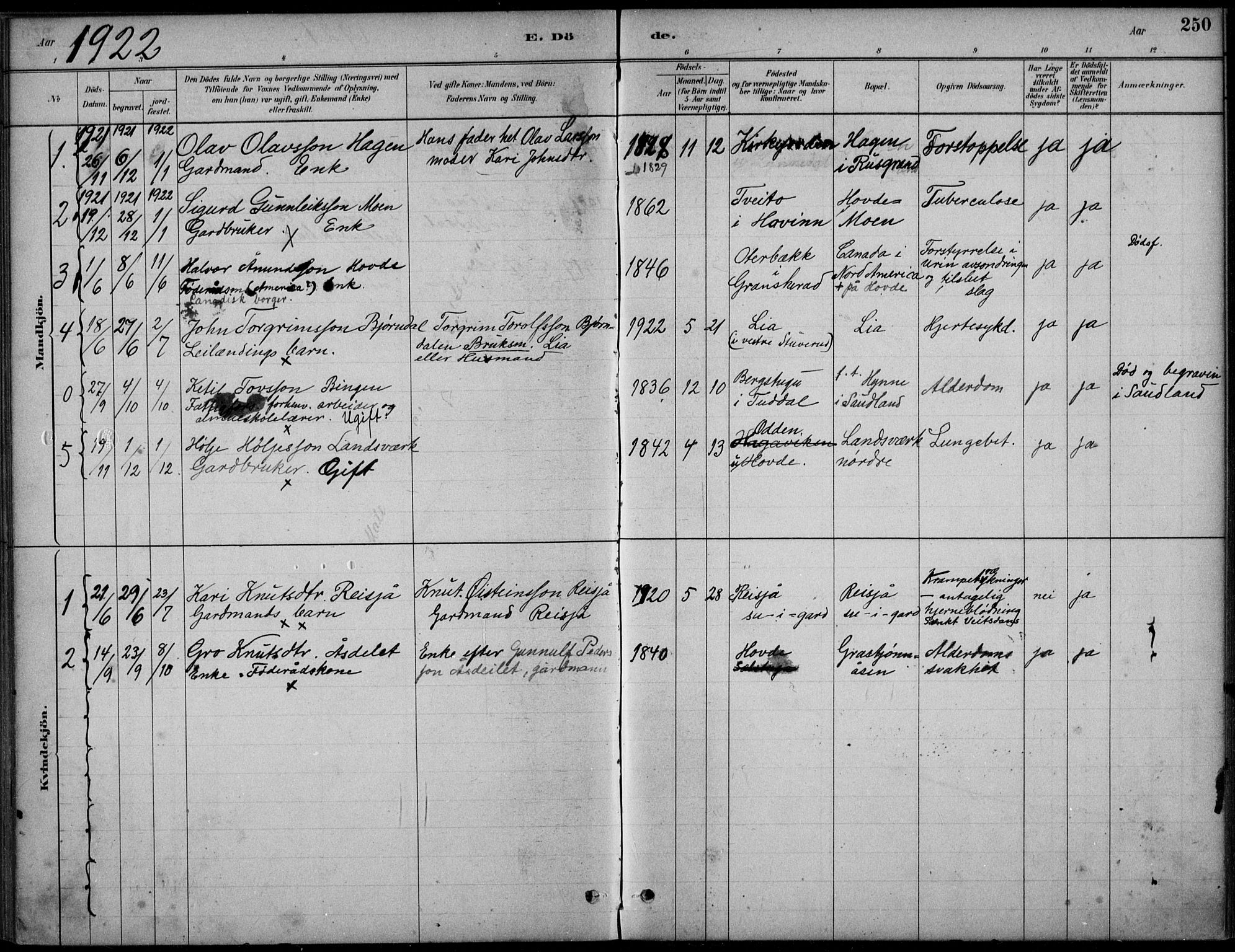 Hjartdal kirkebøker, SAKO/A-270/F/Fc/L0002: Parish register (official) no. III 2, 1880-1936, p. 250