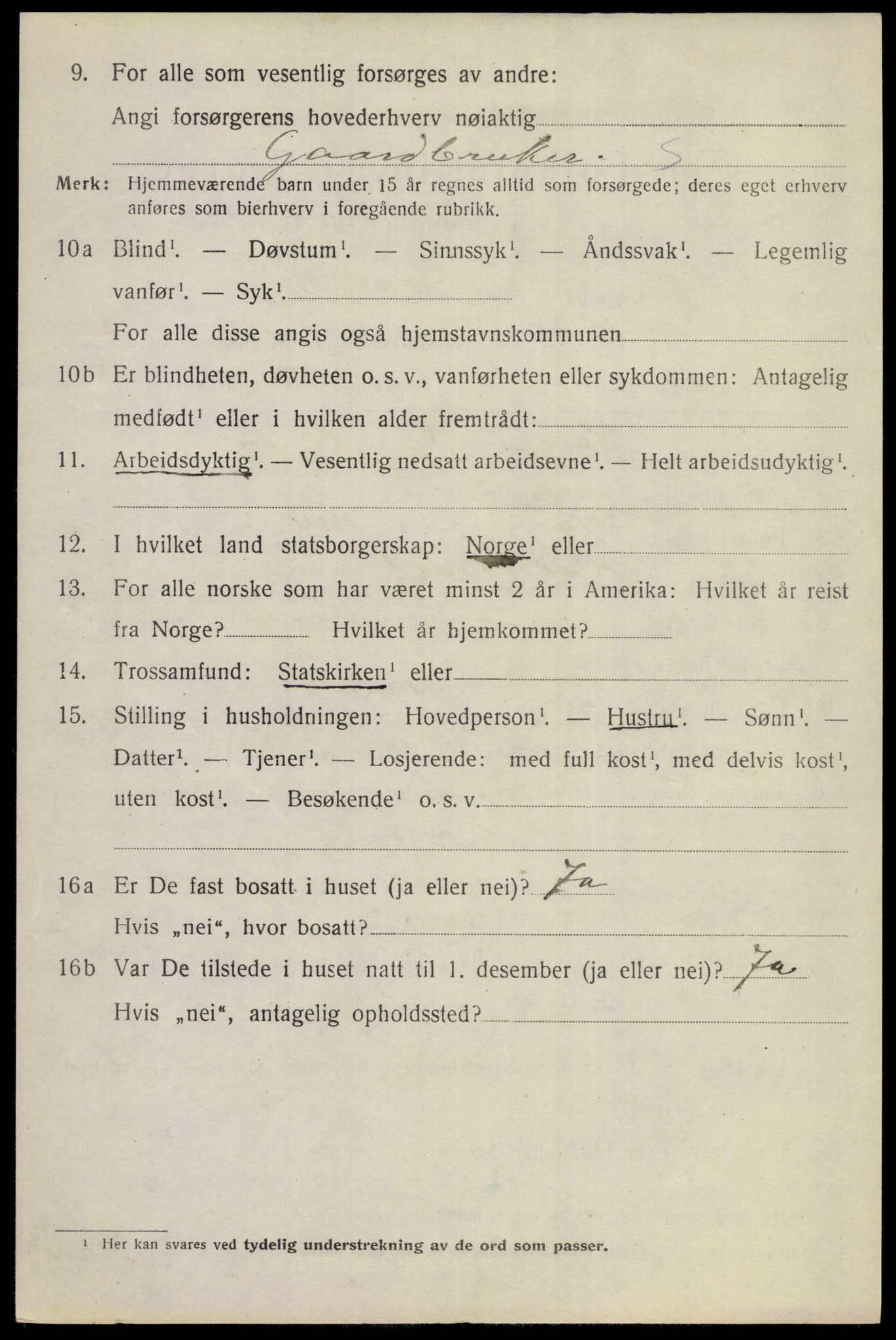 SAKO, 1920 census for Hol (Buskerud), 1920, p. 2420