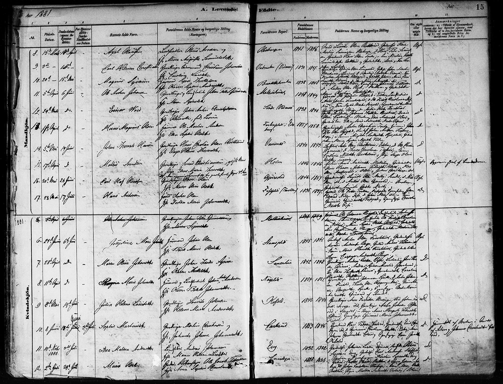 Skiptvet prestekontor Kirkebøker, SAO/A-20009/F/Fa/L0009: Parish register (official) no. 9, 1878-1900, p. 15