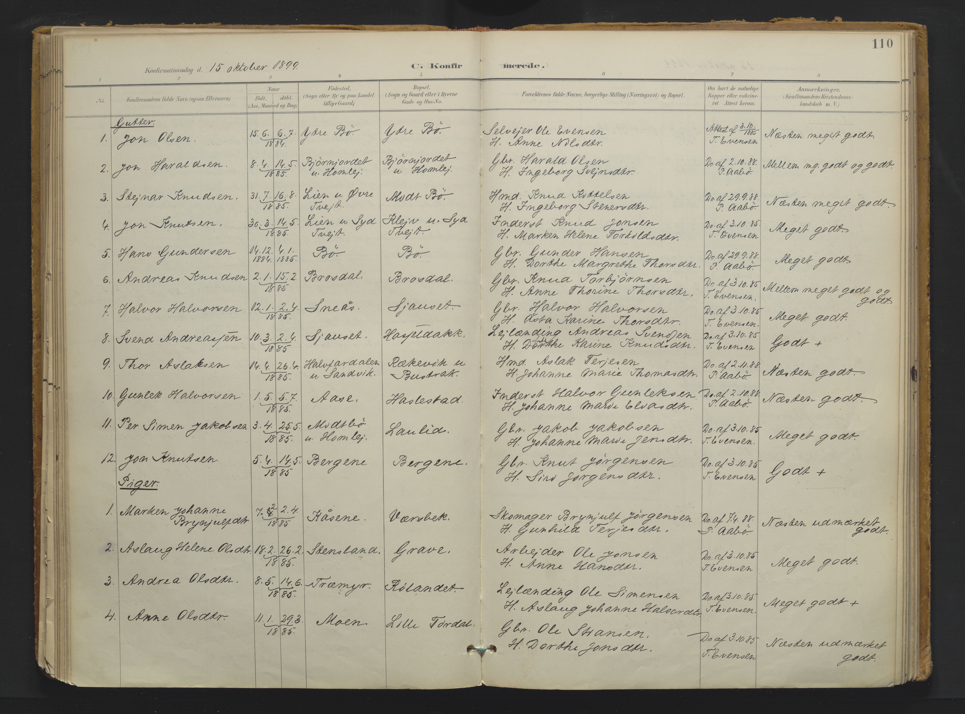 Drangedal kirkebøker, SAKO/A-258/F/Fa/L0013: Parish register (official) no. 13, 1895-1919, p. 110