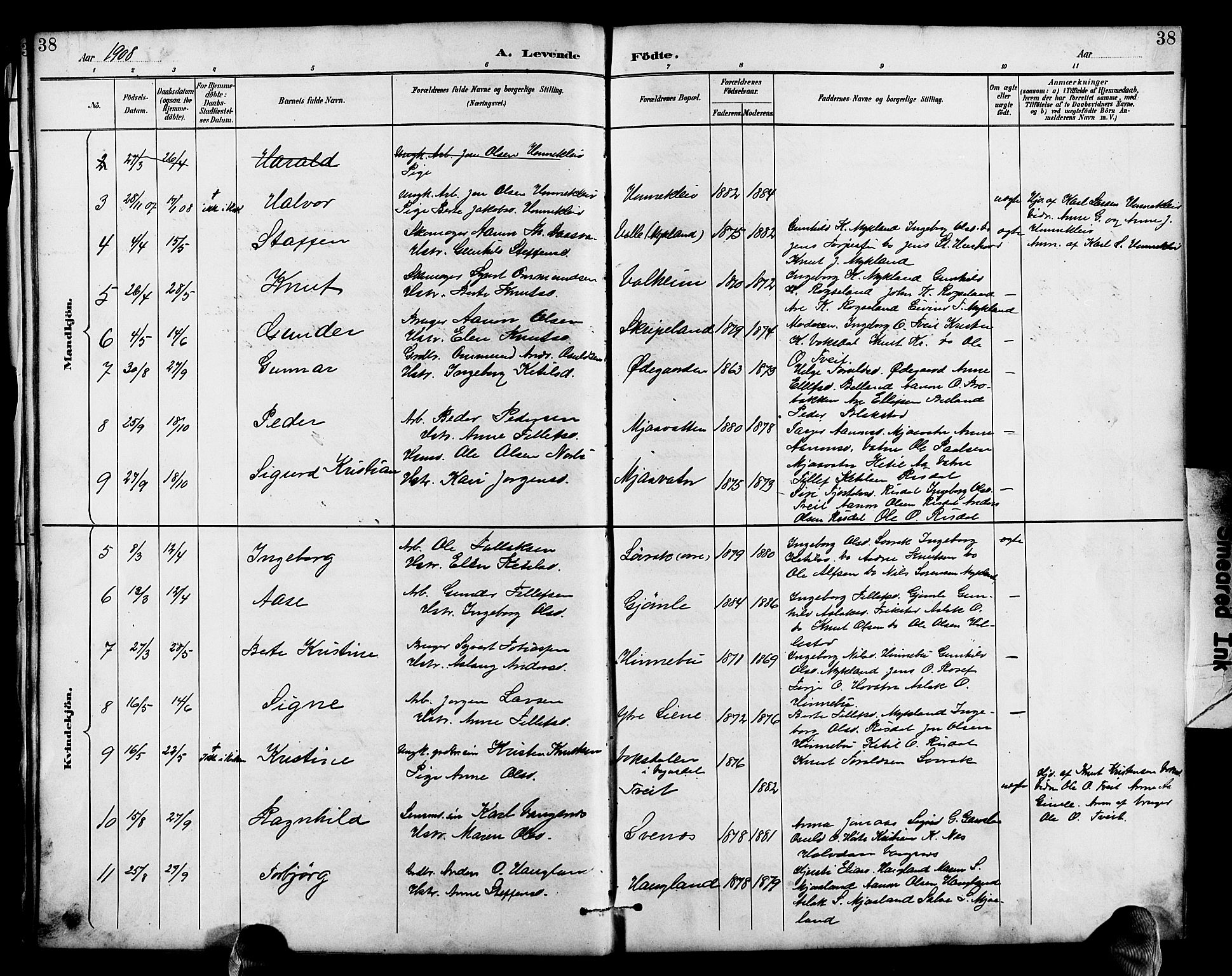 Herefoss sokneprestkontor, AV/SAK-1111-0019/F/Fb/Fbc/L0003: Parish register (copy) no. B 3, 1887-1915, p. 38