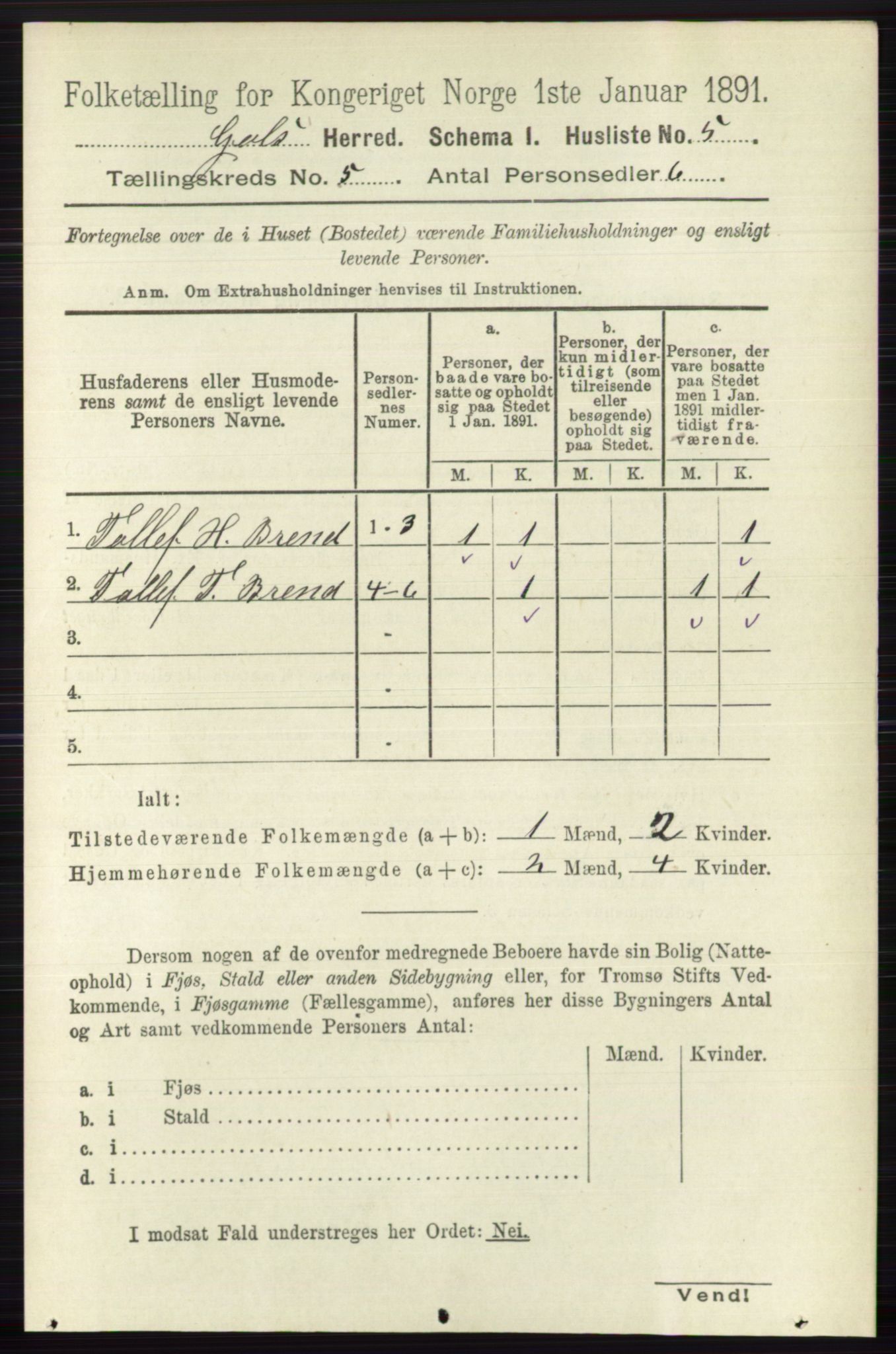 RA, 1891 census for 0617 Gol og Hemsedal, 1891, p. 2300