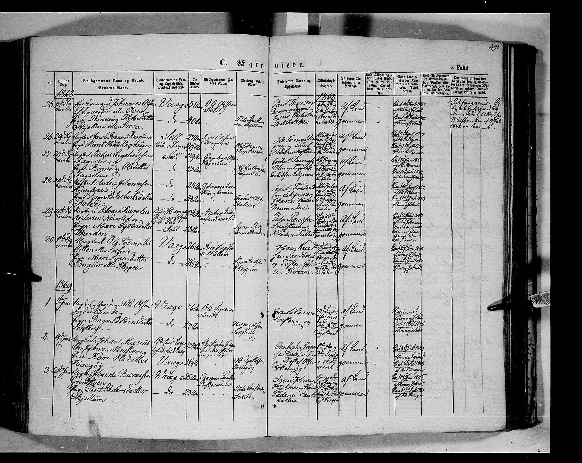 Vågå prestekontor, SAH/PREST-076/H/Ha/Haa/L0006: Parish register (official) no. 6 /1, 1856-1872, p. 291