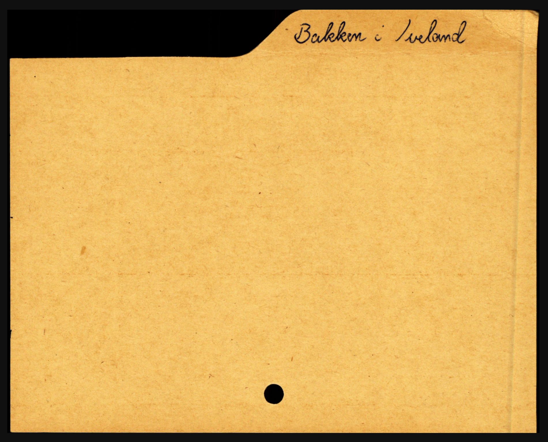 Setesdal sorenskriveri, AV/SAK-1221-0011/H, p. 335