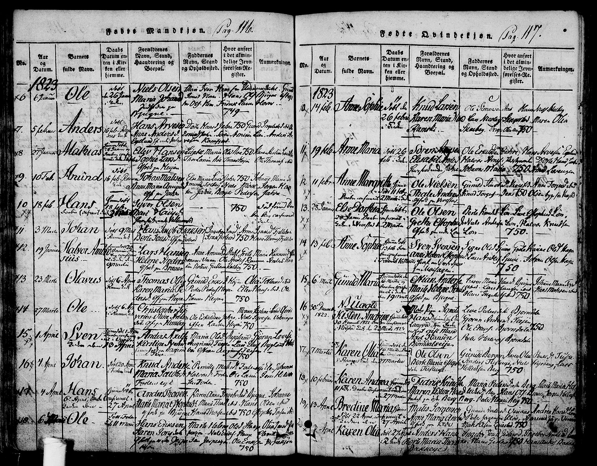 Ramnes kirkebøker, AV/SAKO-A-314/F/Fa/L0004: Parish register (official) no. I 4, 1813-1840, p. 116-117