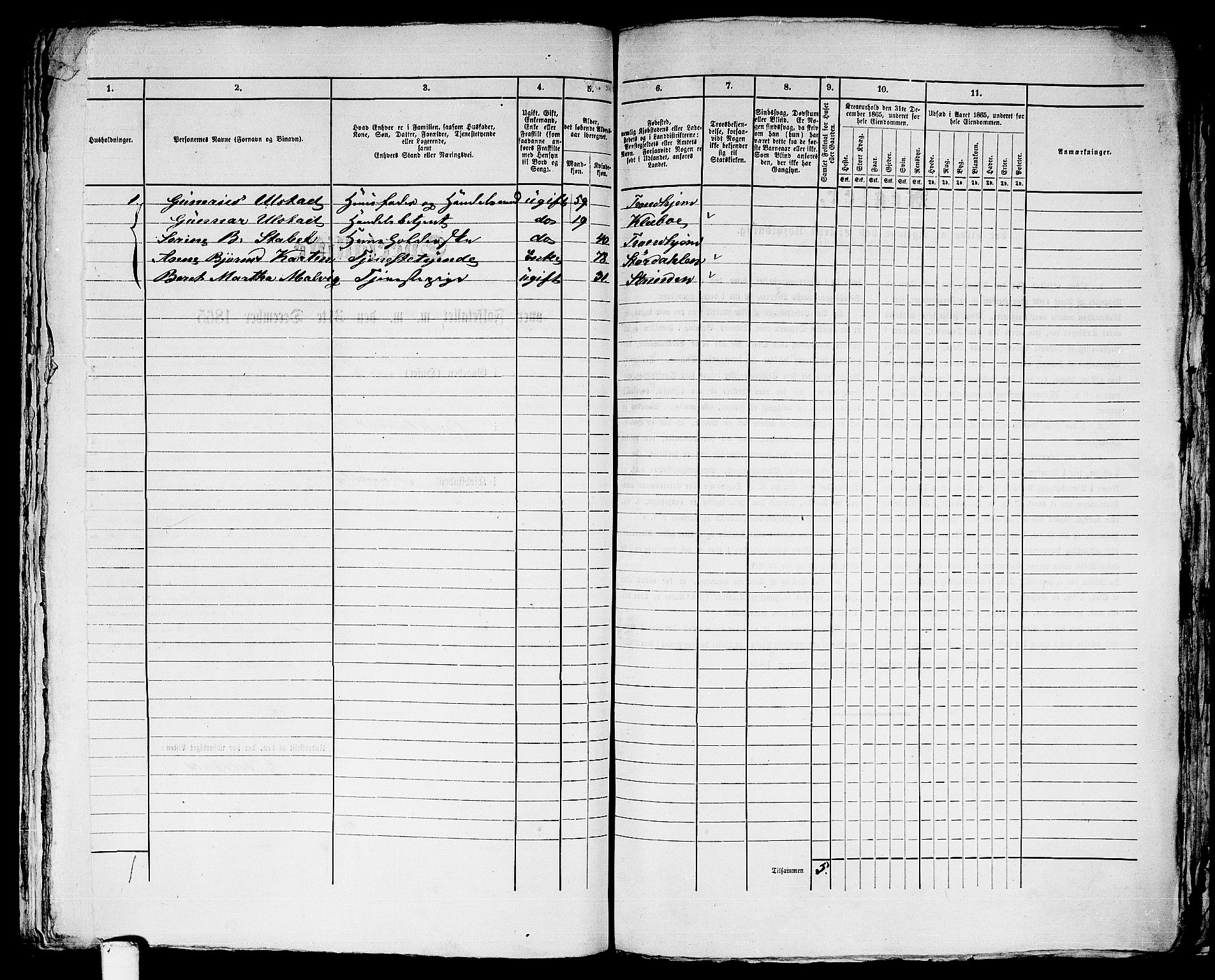 RA, 1865 census for Trondheim, 1865, p. 2493