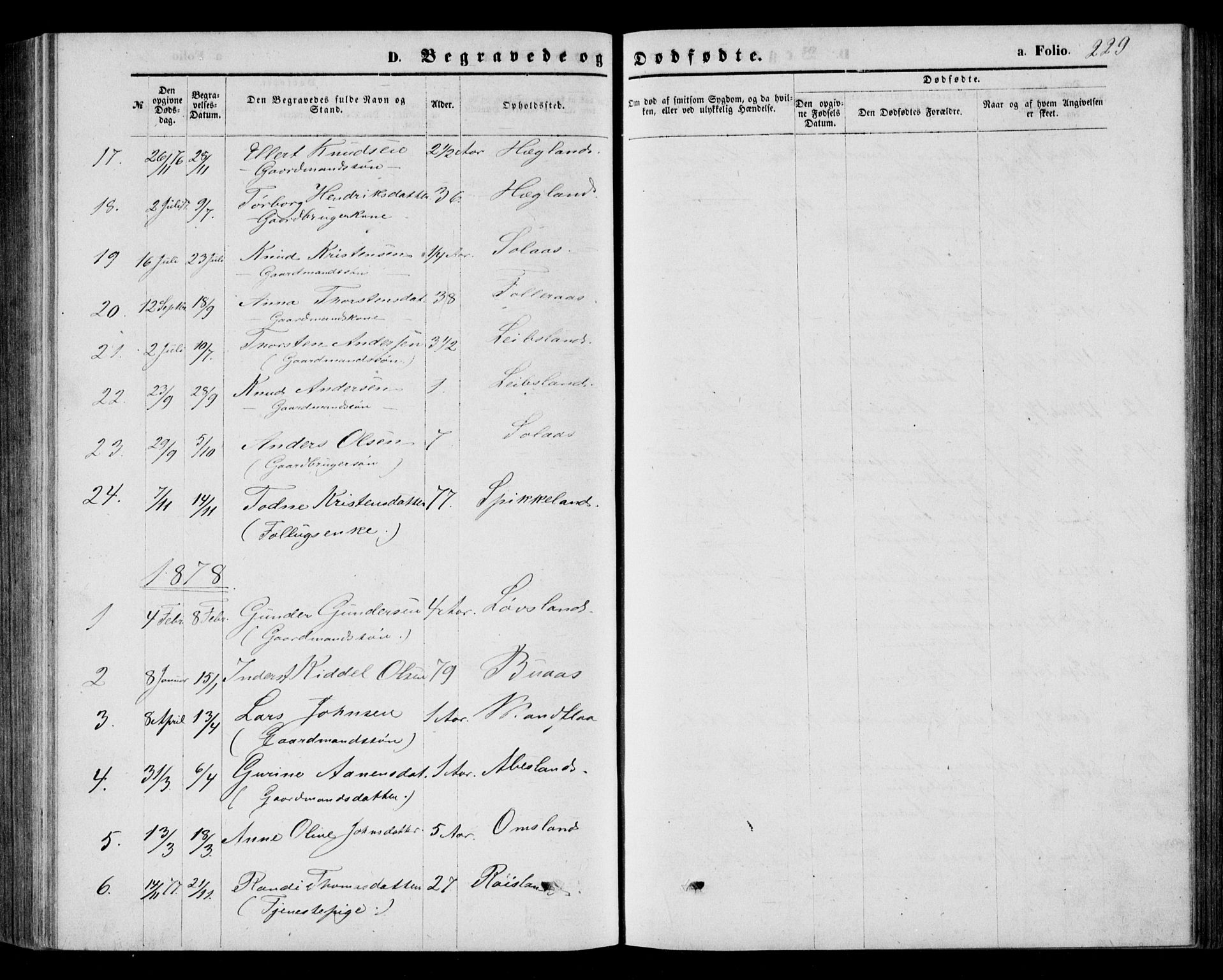 Bjelland sokneprestkontor, AV/SAK-1111-0005/F/Fb/Fbb/L0004: Parish register (copy) no. B 4, 1867-1887, p. 229