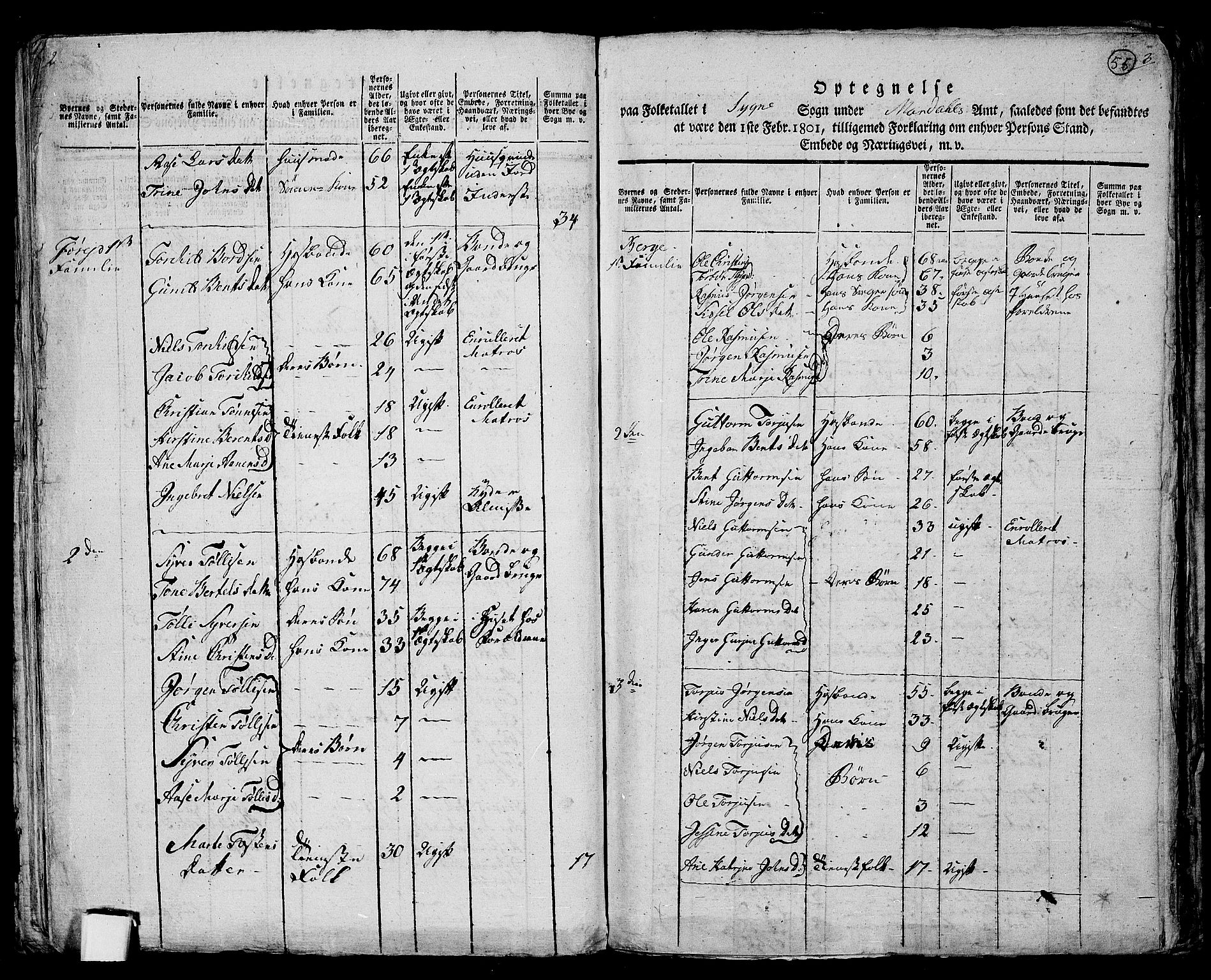 RA, 1801 census for 1018P Søgne, 1801, p. 54b-55a